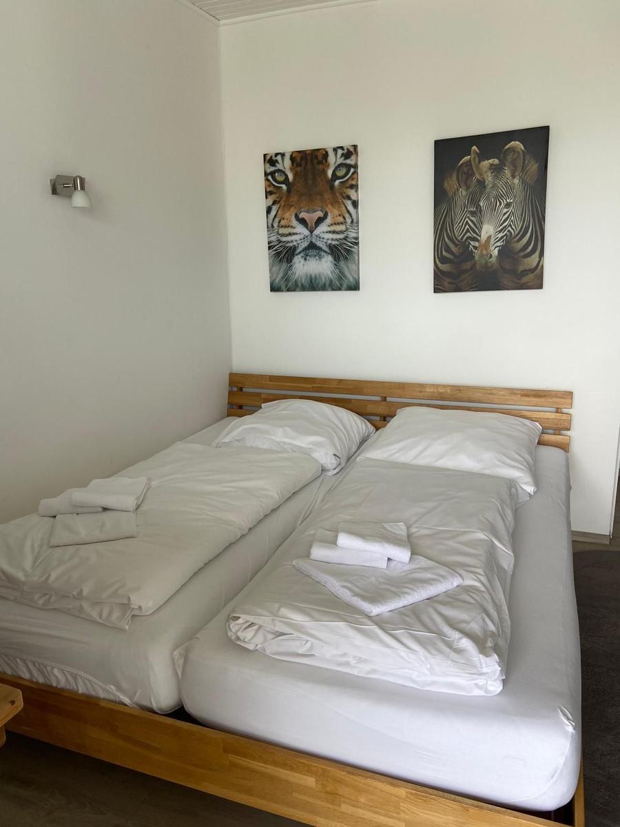 Zwei Betten mit weißen Bettwäsche und Tierbildern an der Wand.