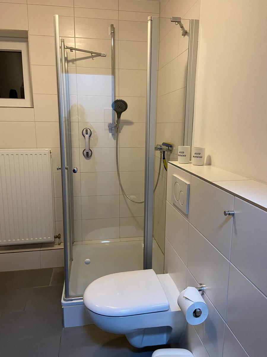 Bathroom with shower, toilet, and toilet paper. Two white mugs on shelf.
