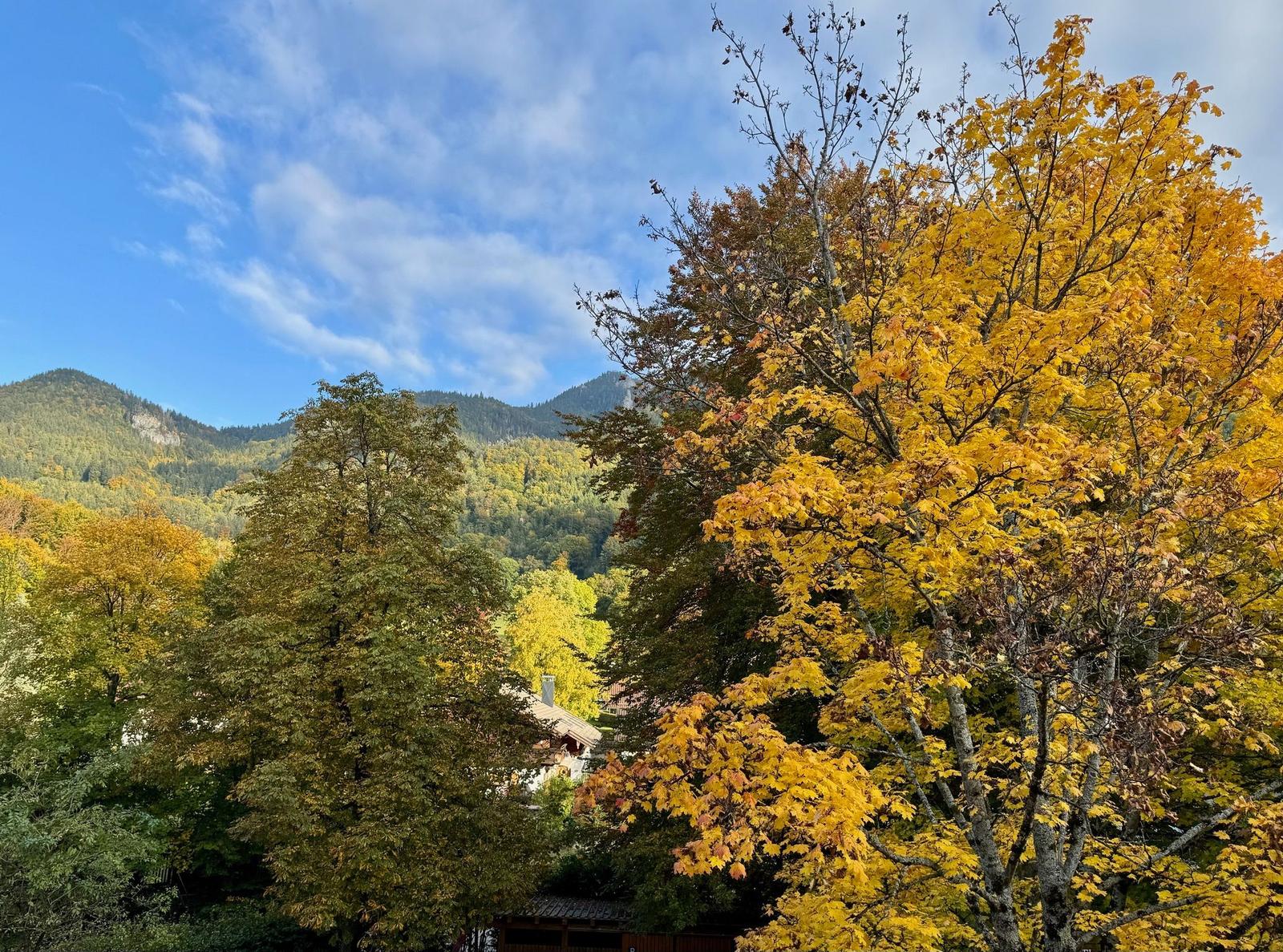 Herbstlicher Blick auf bewaldete Berge unter blauem Himmel mit gelben Blättern