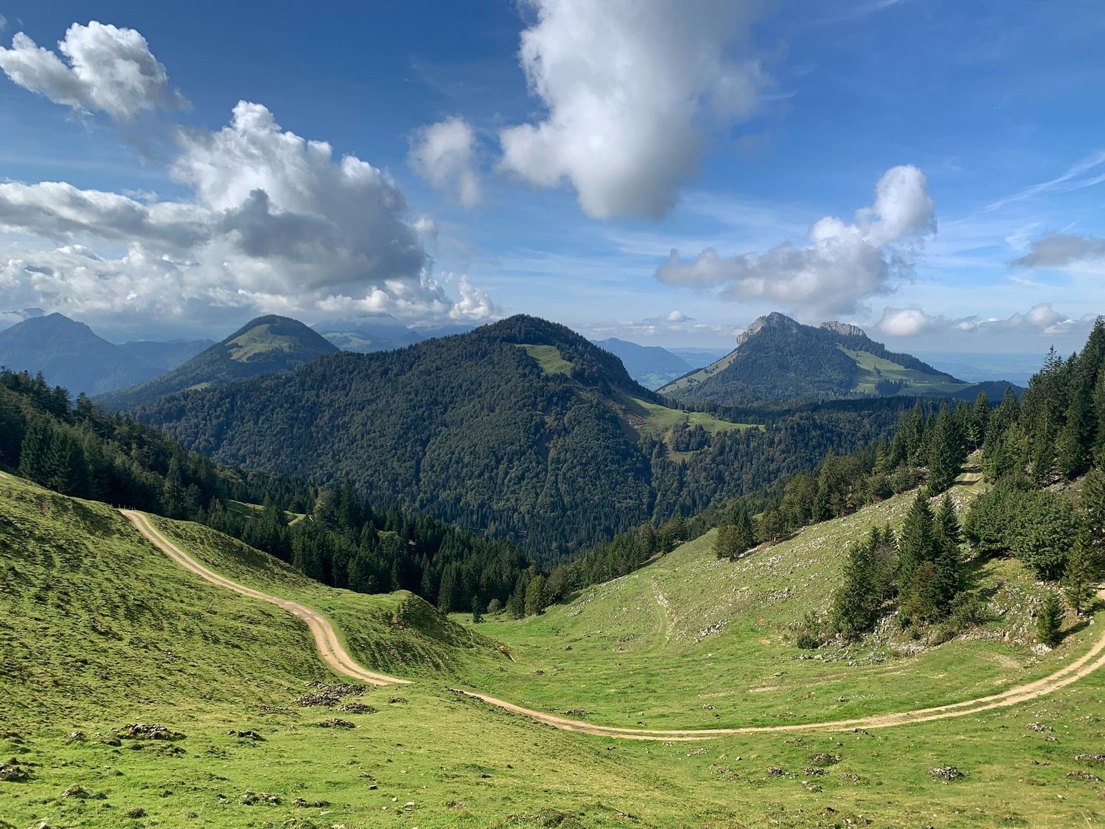 Grüne Hügel mit Wald und Wanderweg unter blauem Himmel mit weißen Wolken.