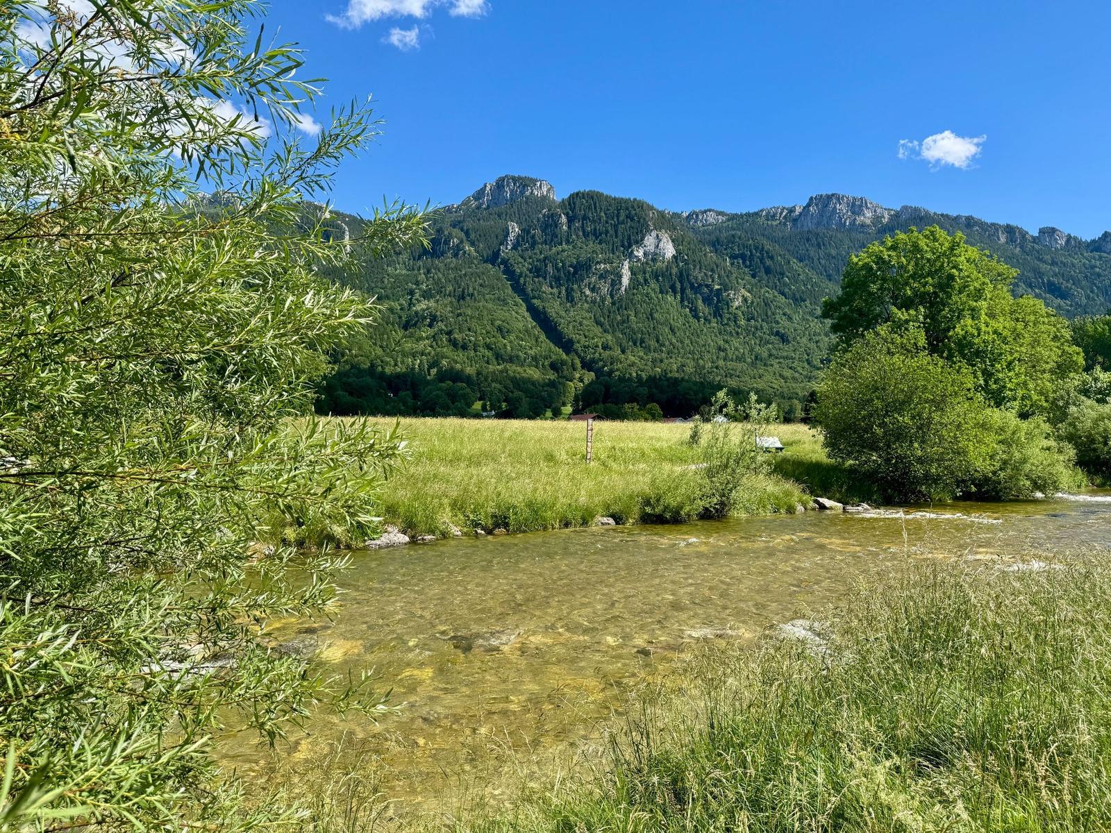 Klarer Fluss fließt durch grünes Grasland mit Bergen im Hintergrund.