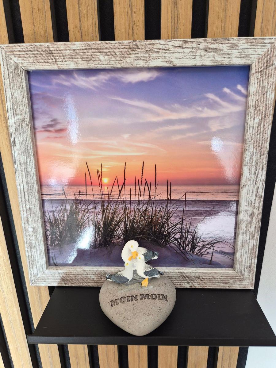 Fotografie eines Sonnenuntergangs am Strand mit Strandgräsern und zwei Möwen auf einem Stein.