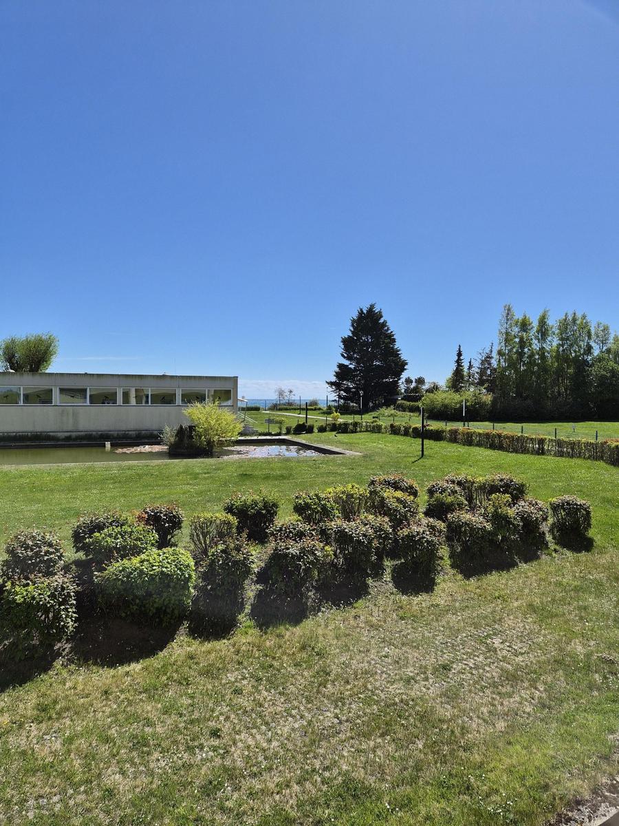 Green lawn with hedges and a pool. A building and trees in the background.