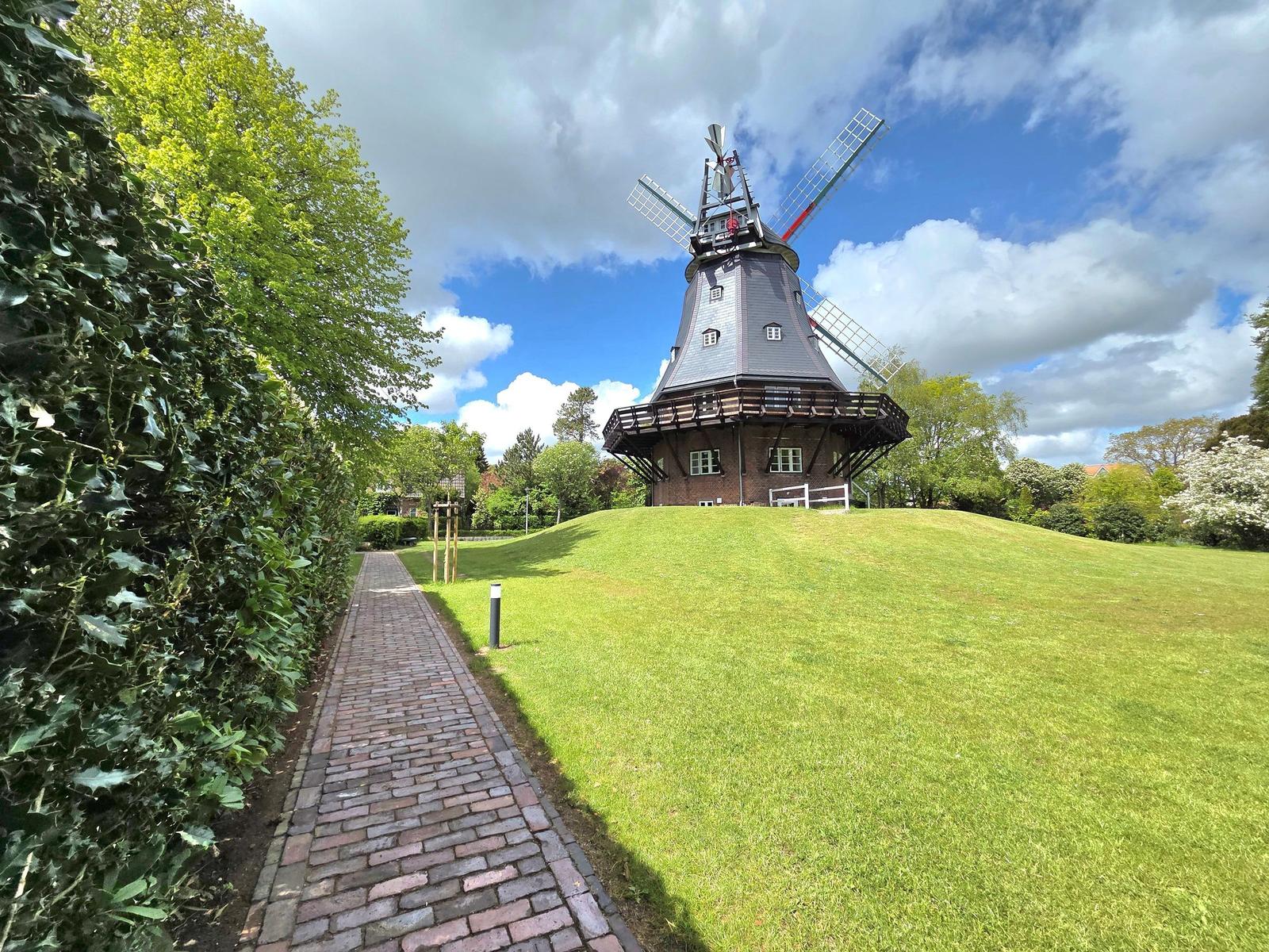 Holländischer Windmühle auf grünem Hügel mit gepflasterter Straße und Hecken