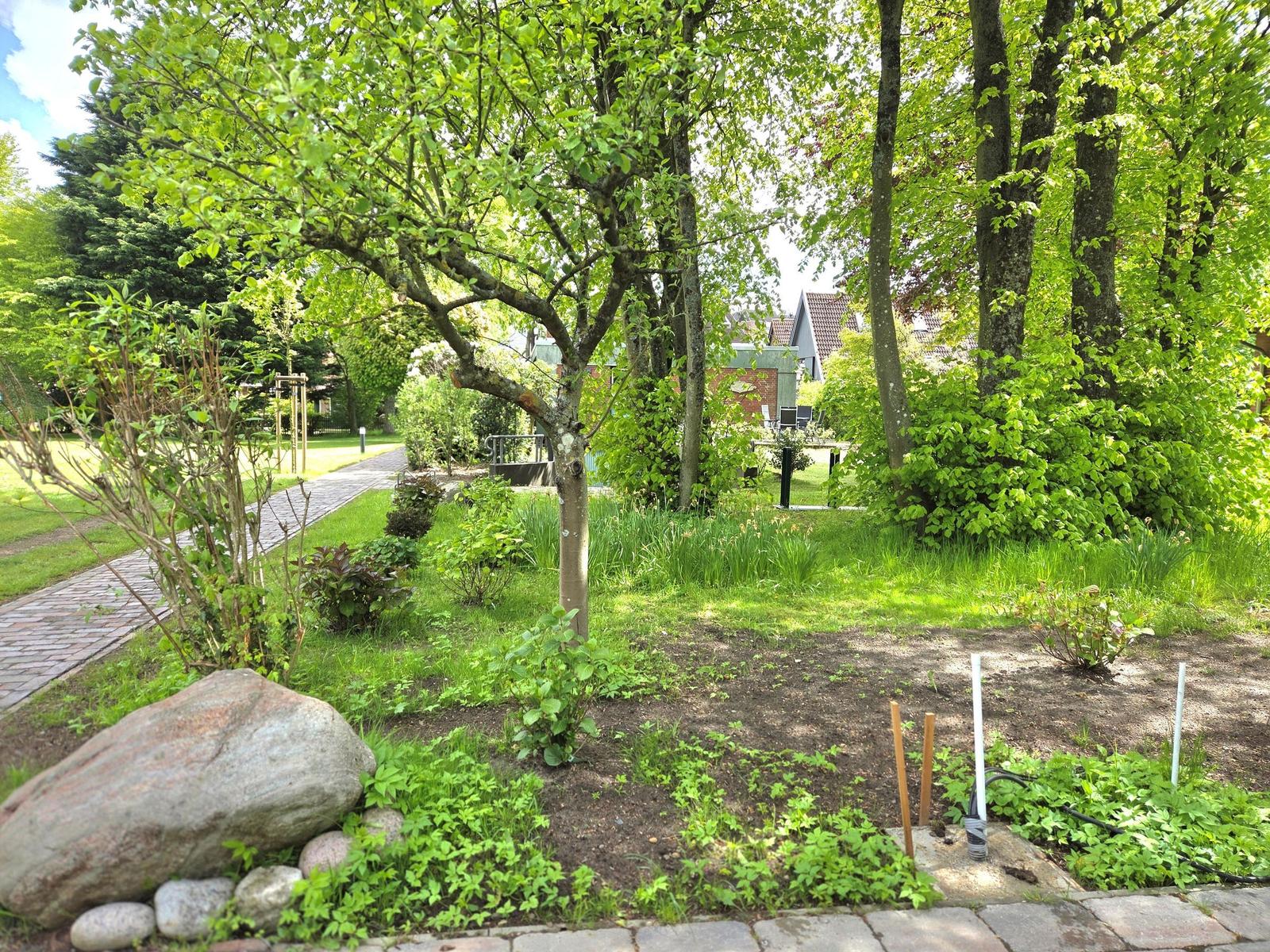 Garten mit Bäumen, Steinen und Pflanzen. Pflasterweg führt durch Grünflächen.