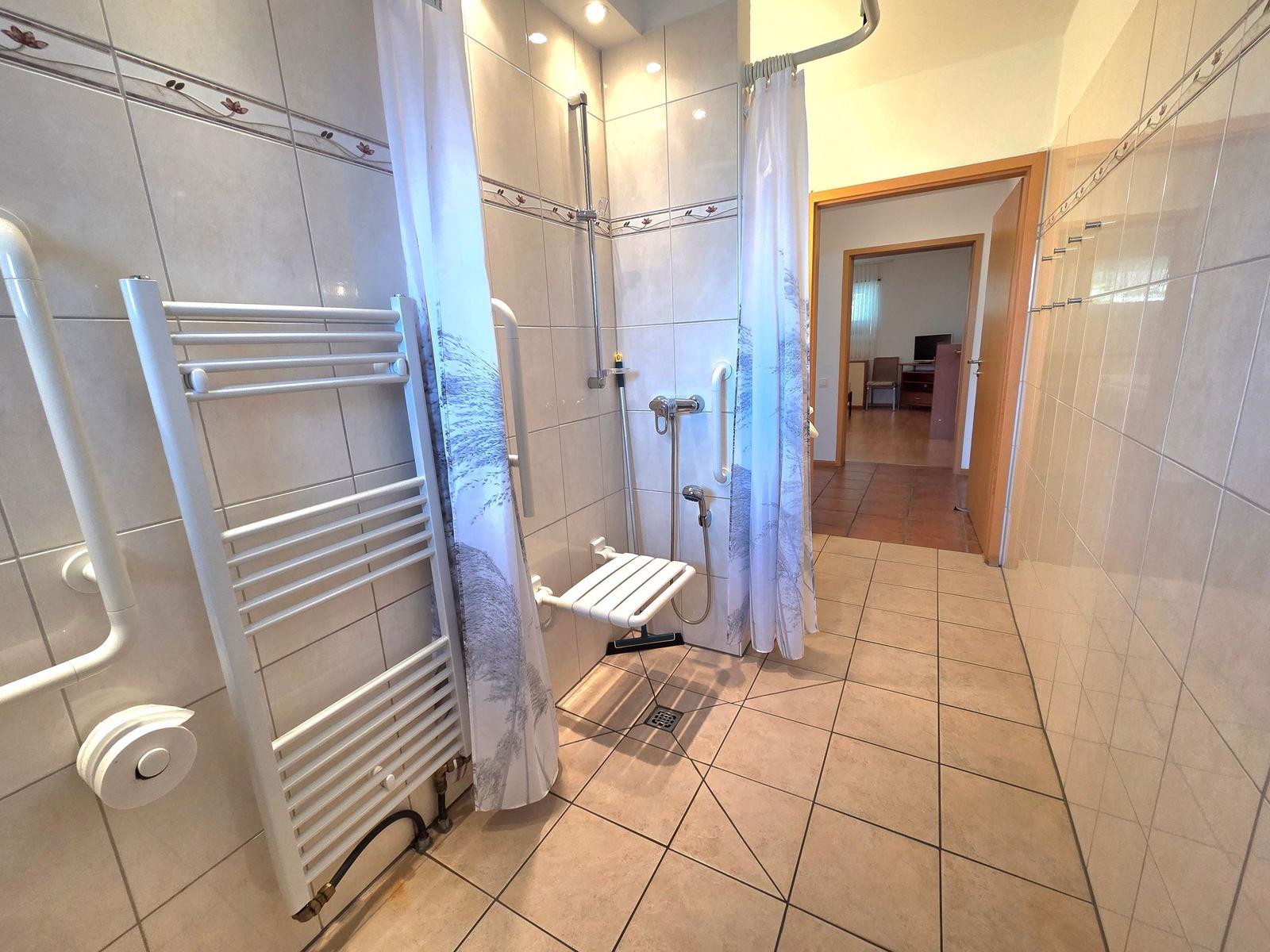 Bath with shower, seat, and grab bar. Corridor to living room.