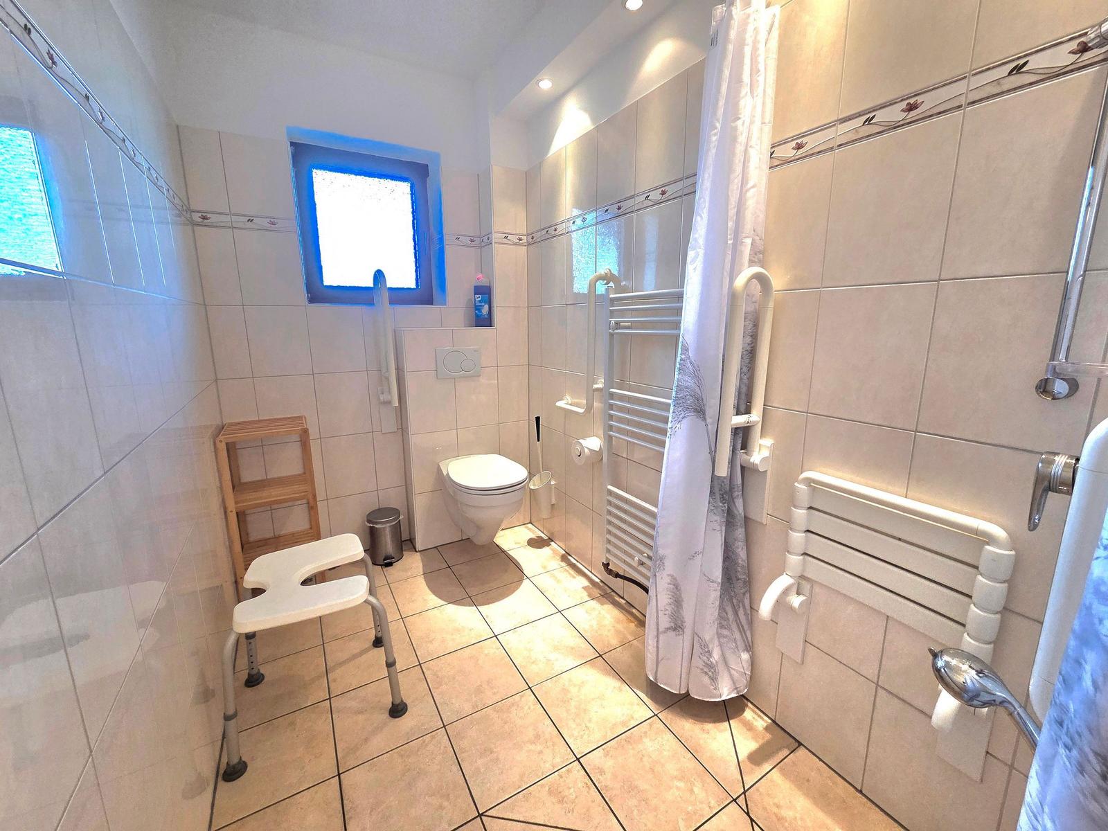 Bathroom with shower, toilet, and grab bar system.