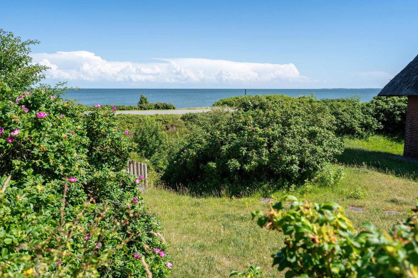Landschaft