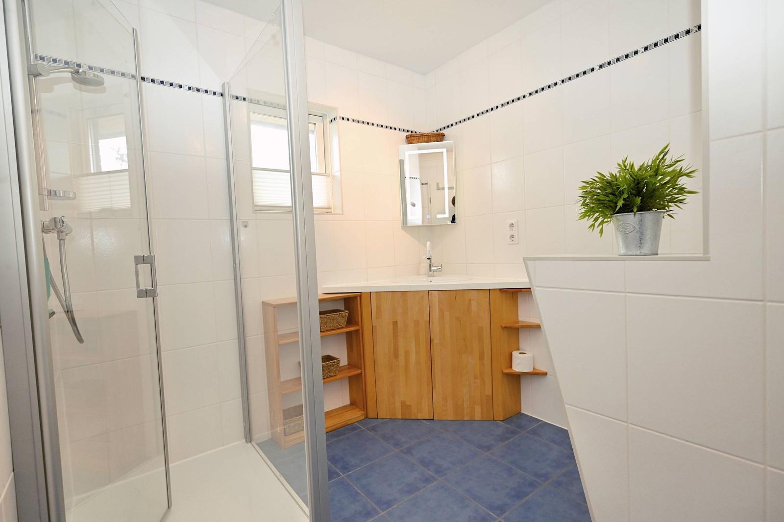 Badezimmer mit Dusche, Waschbecken und Pflanze
