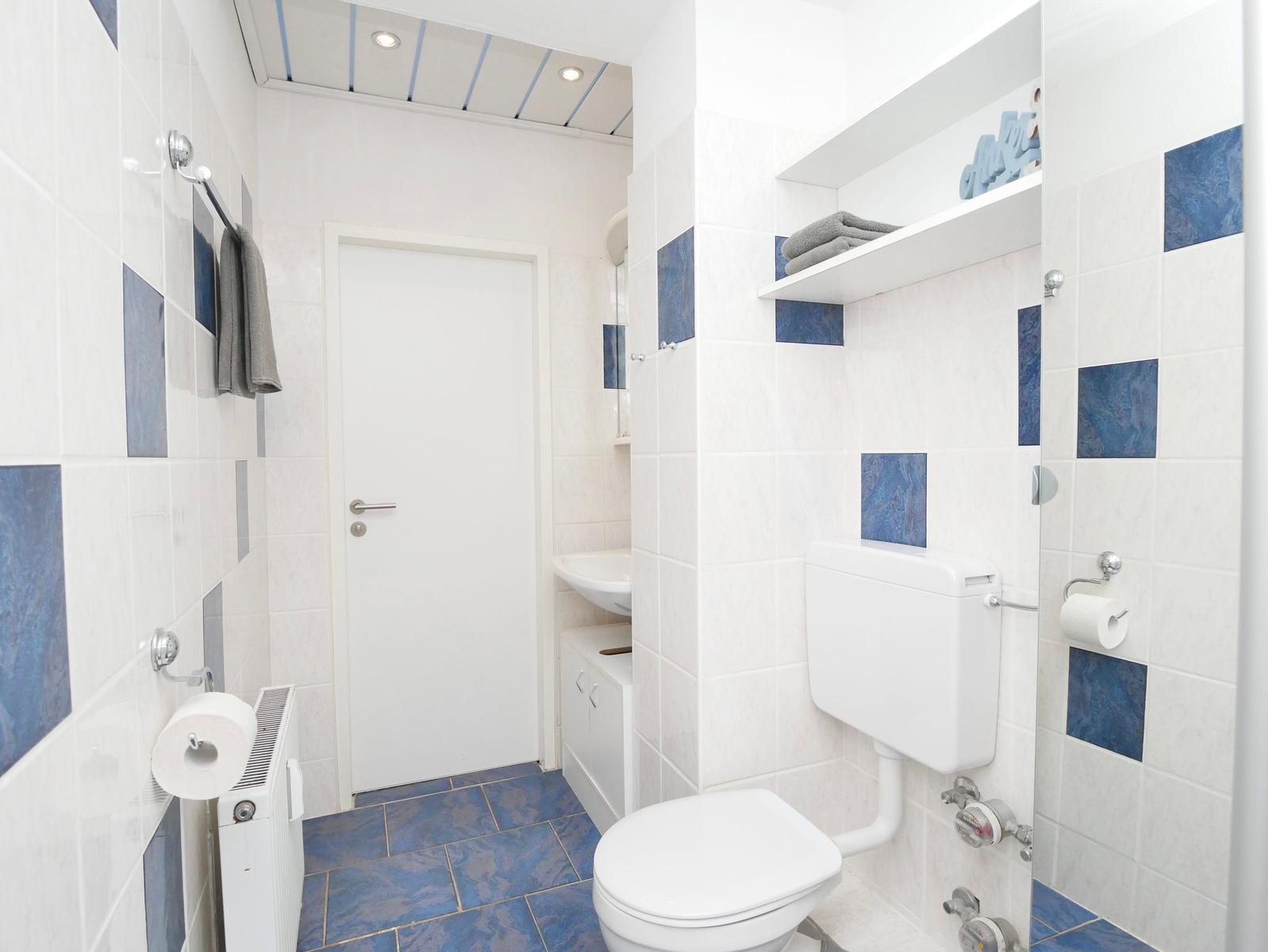 Badezimmer mit Toilette, Waschbecken und Dusche. Wand- und Bodenfliesen in Weiß und Blau.