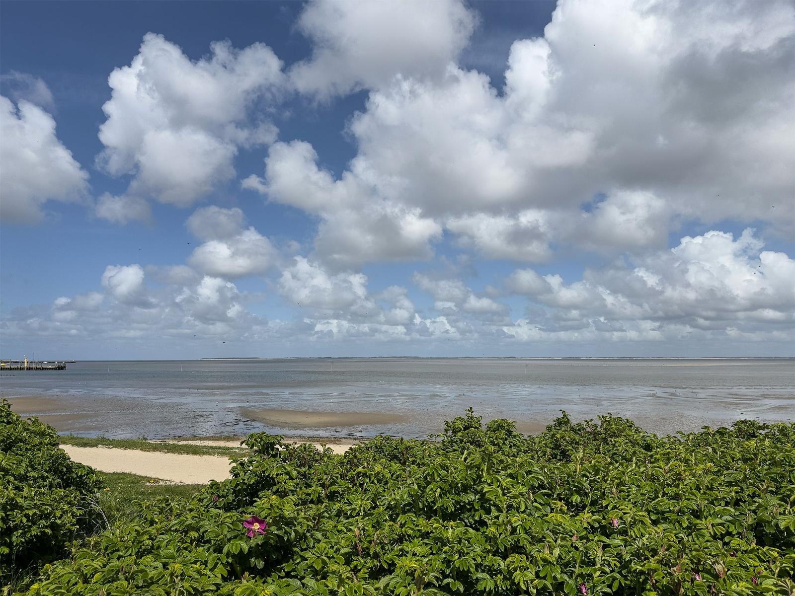 Wide beach with tidal flats and blue sky with white clouds.