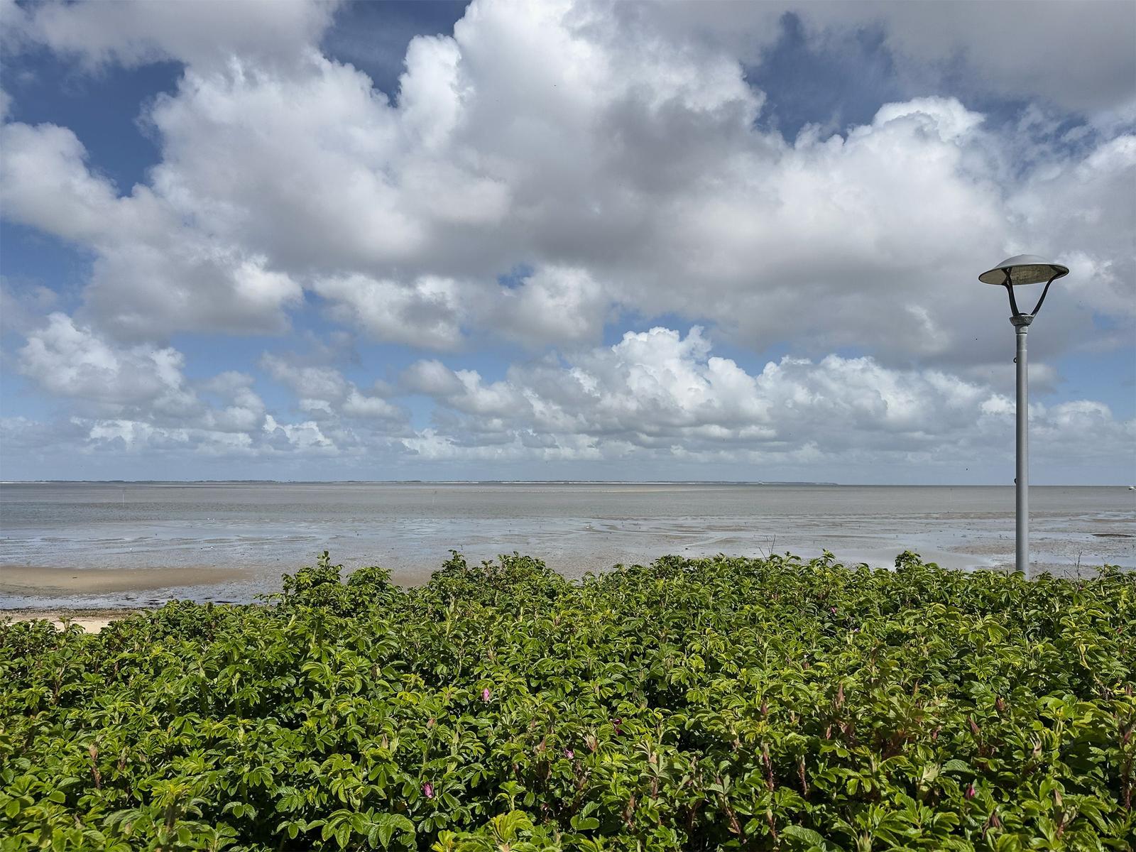 Wide view of the coast under a cloudy sky with green vegetation in the foreground.