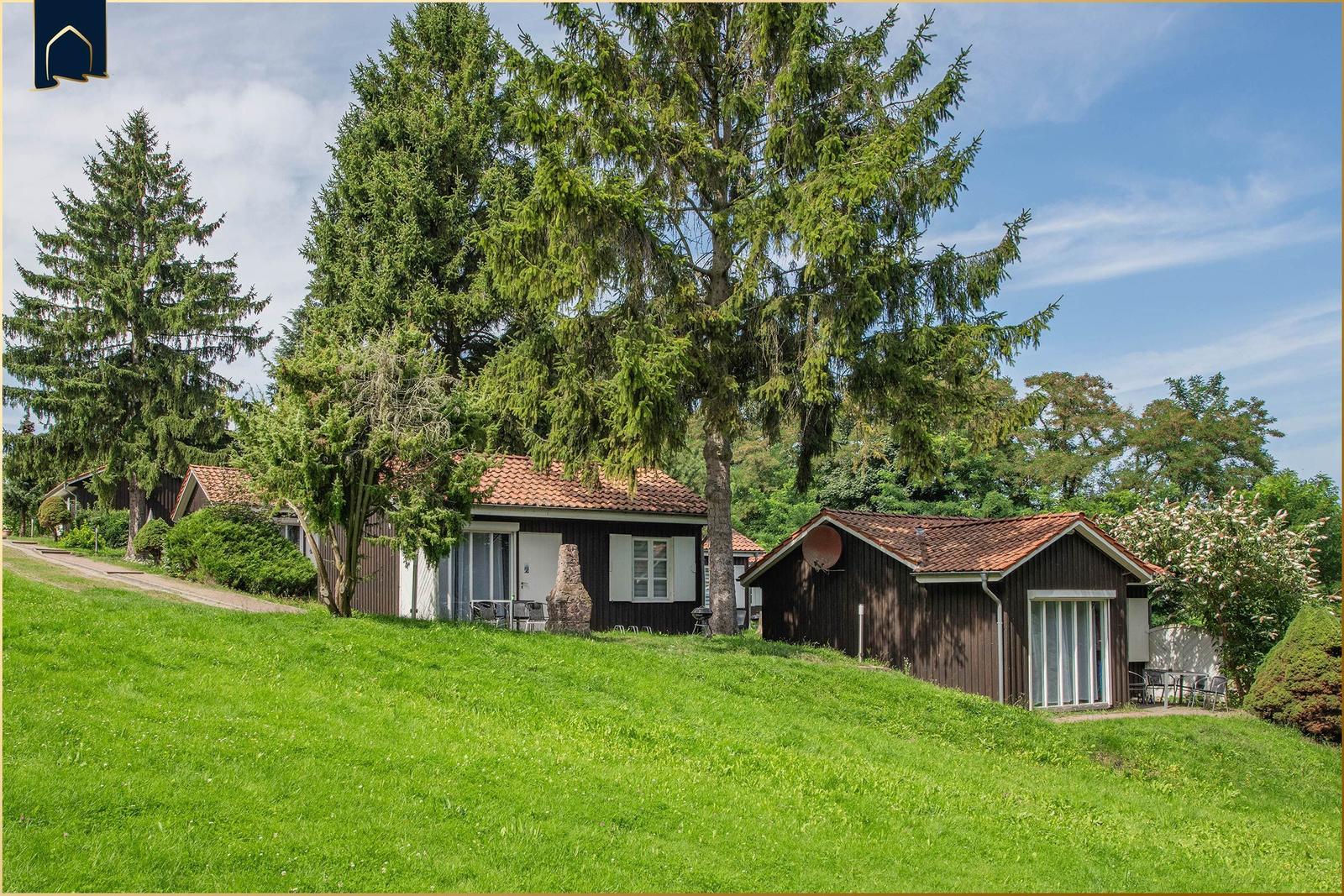Haus mit Terrasse und Garten unter hohen Bäumen.