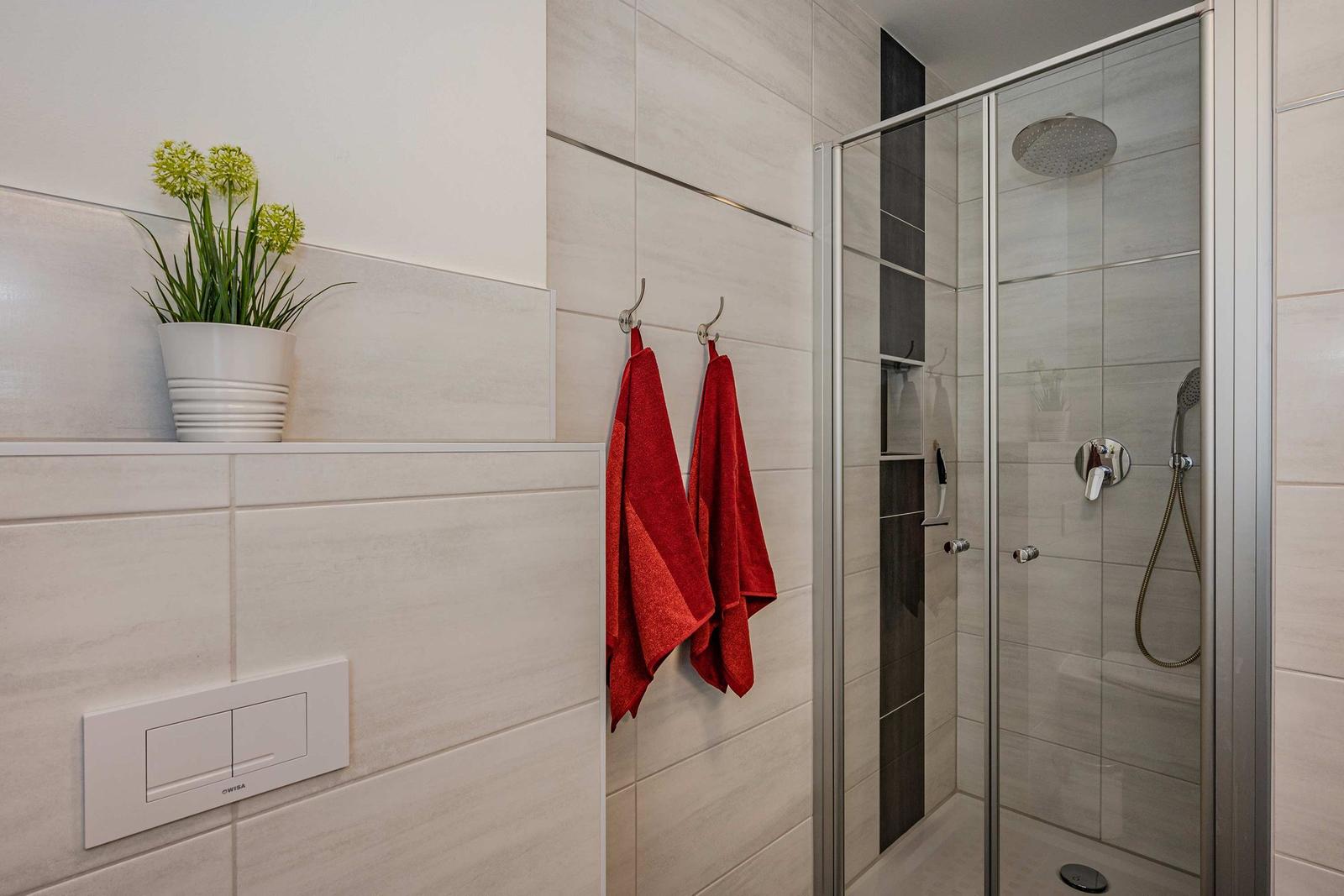 Badezimmer mit Dusche, roten Handtüchern und Pflanze auf Regal.