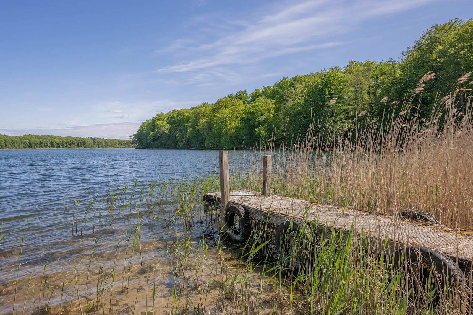 Holzsteg führt zum Wasser, umgeben von Gras und Bäumen unter blauem Himmel.