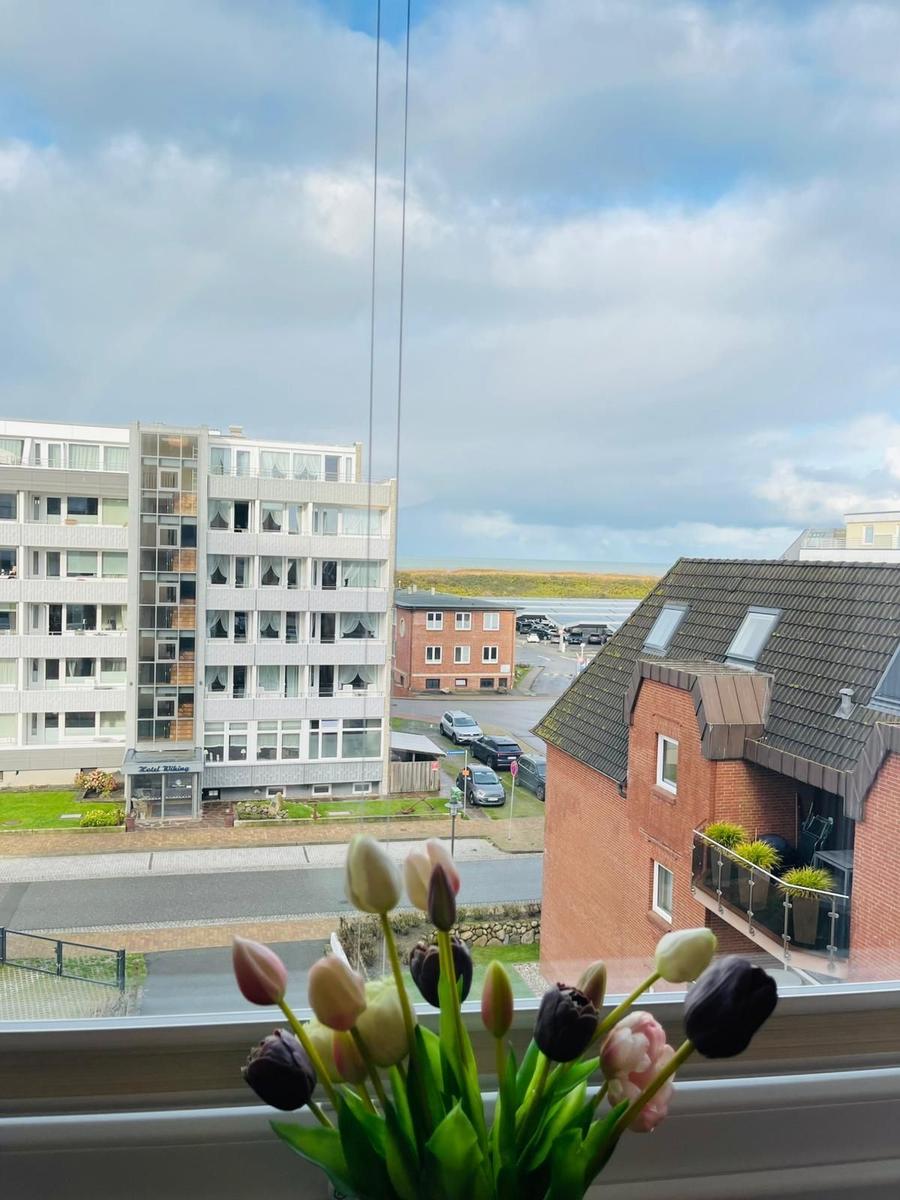 Blick aus dem Fenster auf Gebäude und Strand mit Tulpen im Vordergrund.