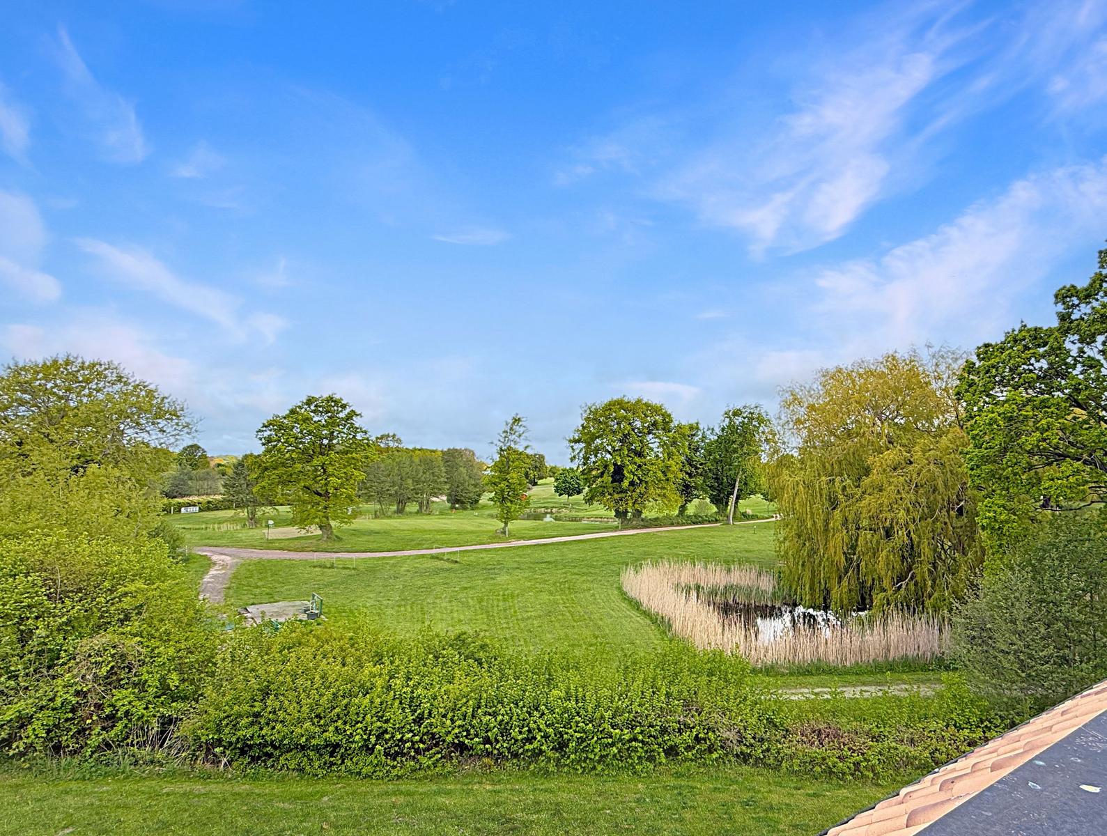 Weitläufiger Grünbereich mit Bäumen, einem Teich und einem Pfad unter blauem Himmel.
