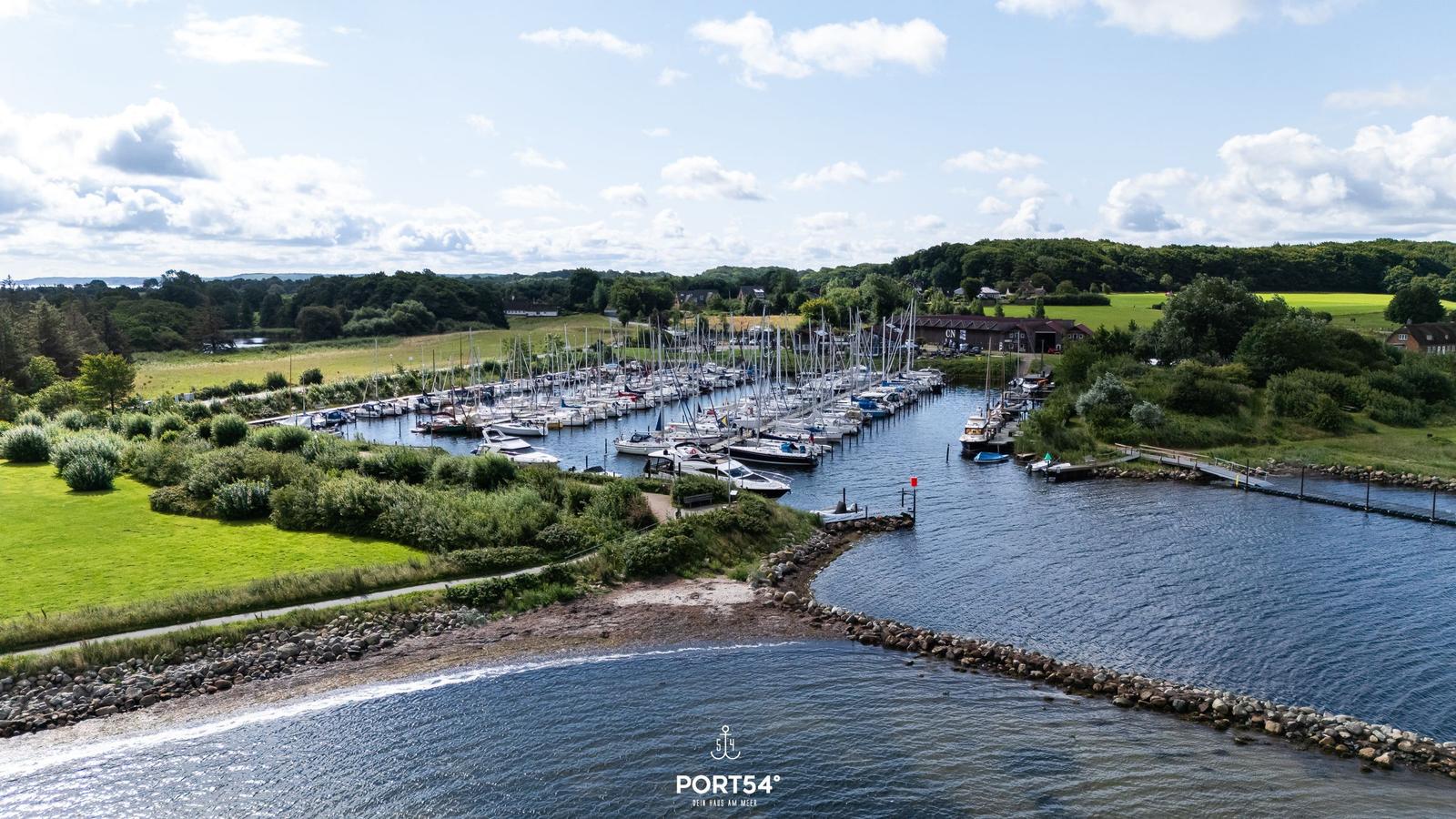 Marina with many boats, green meadows, and forest in background under blue sky.