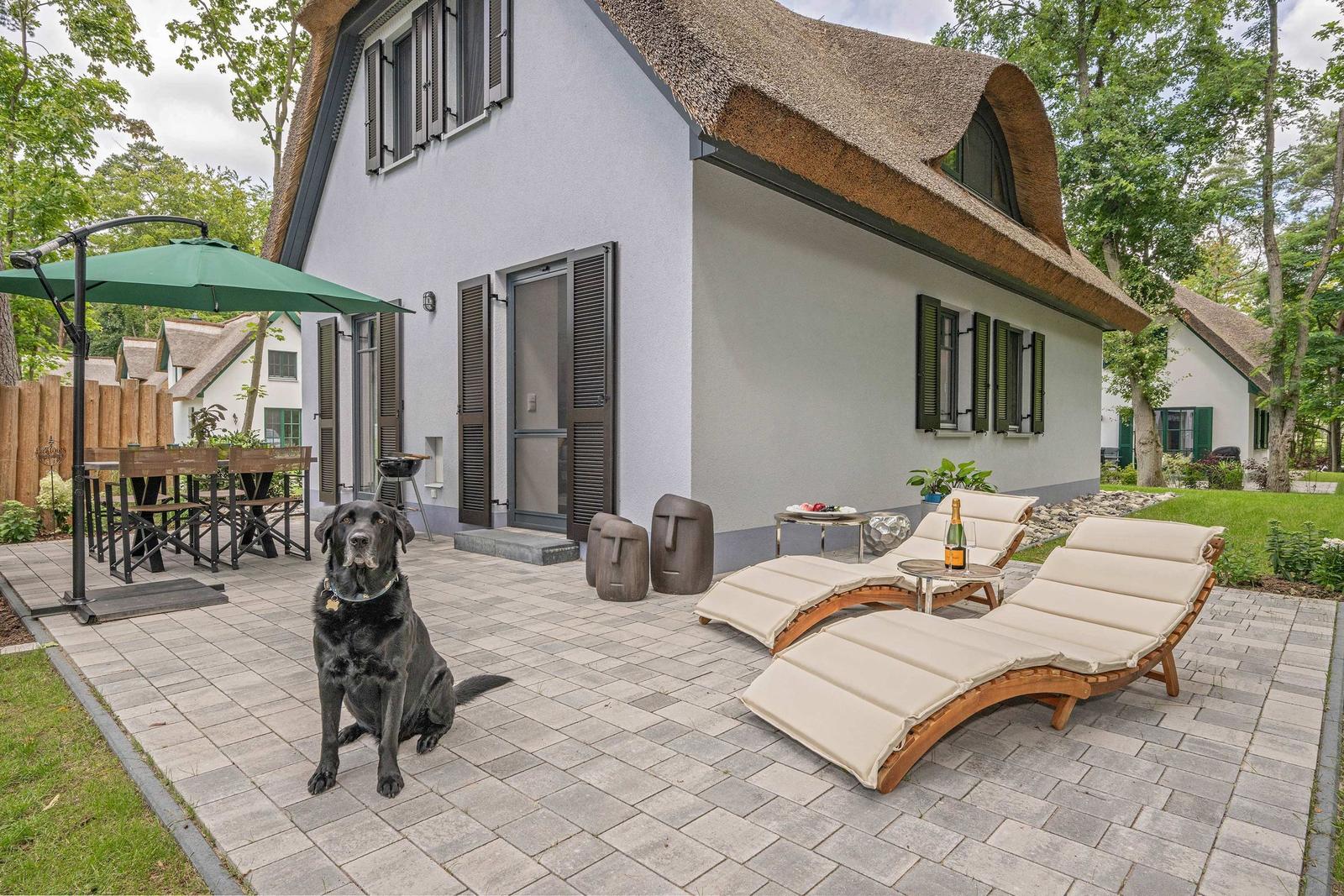 Haus mit Dach aus Stroh, Terrasse mit Liegen und Hund.