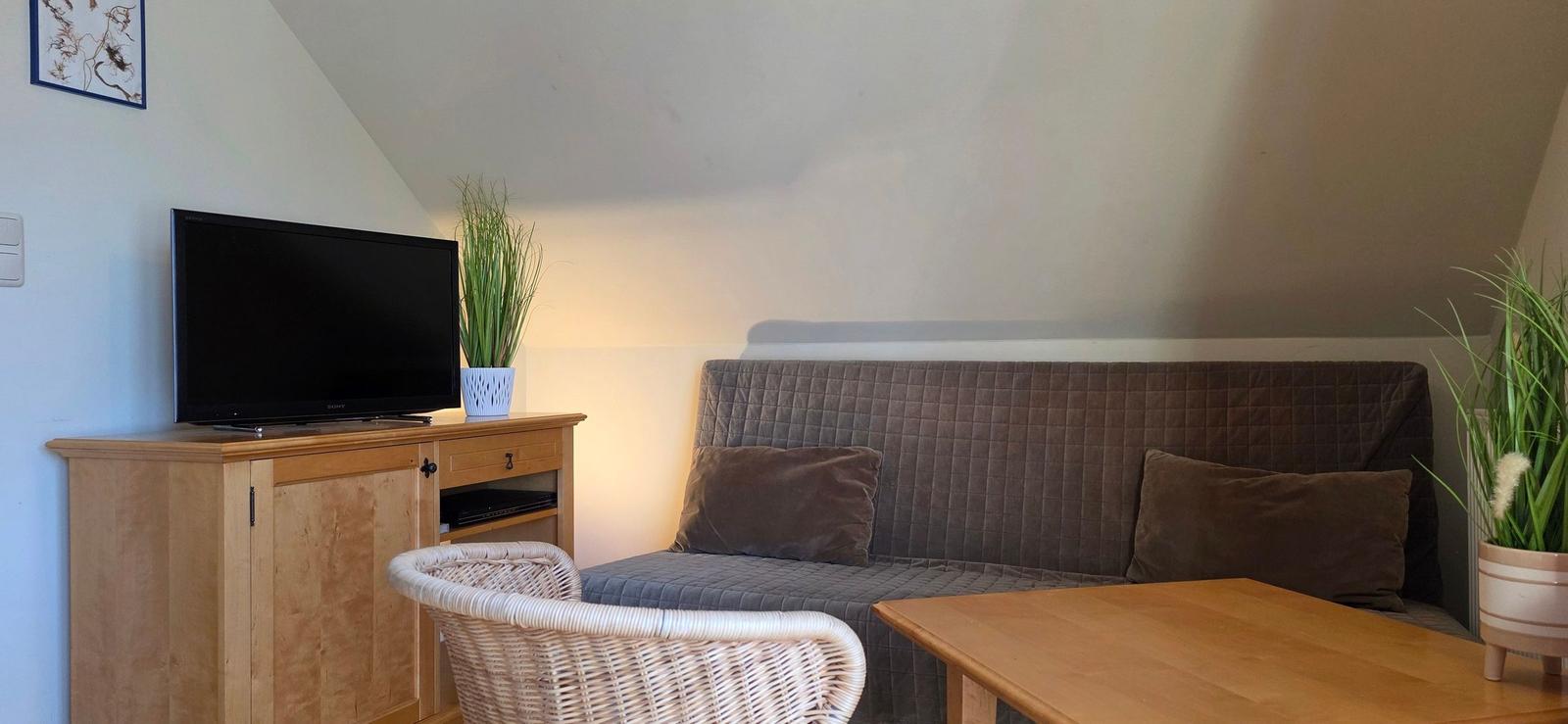 Wohnbereich mit Sofa, Fernseher und Pflanzen unter schrägem Dach.