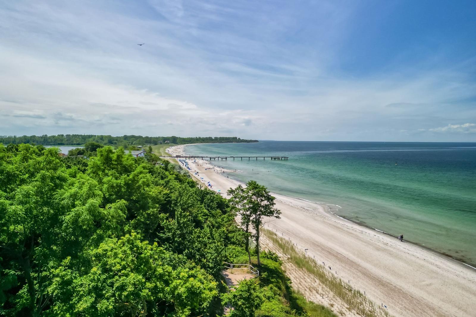 Strand mit Sandstrand, grüner Wald und Seeufer unter blauem Himmel.