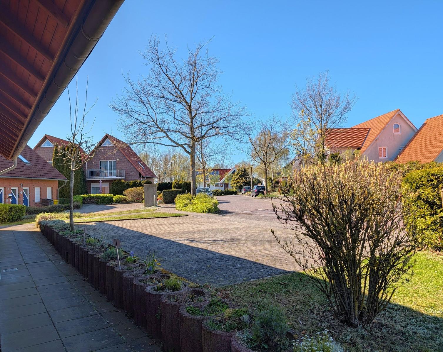 Sicht auf einen gepflasterten Weg mit Häusern und Bäumen unter blauem Himmel.