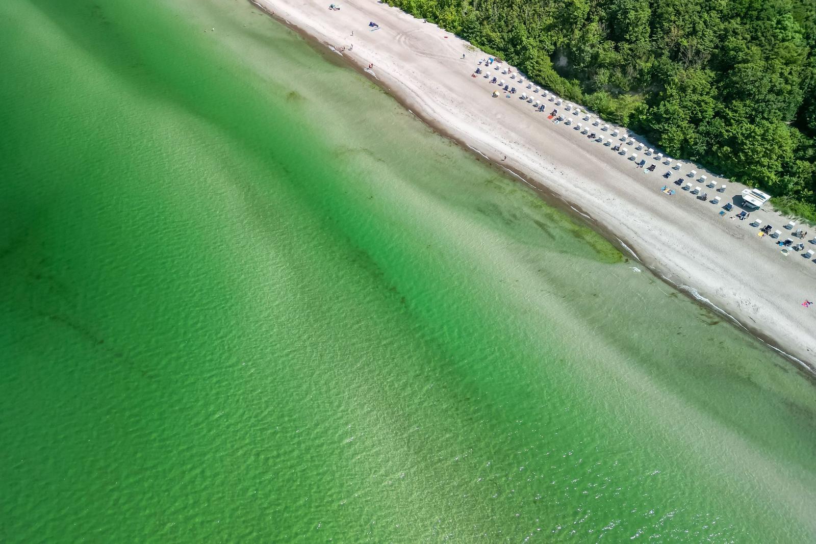 Aerial view of a beach with clear green water and sun loungers along the shore.
