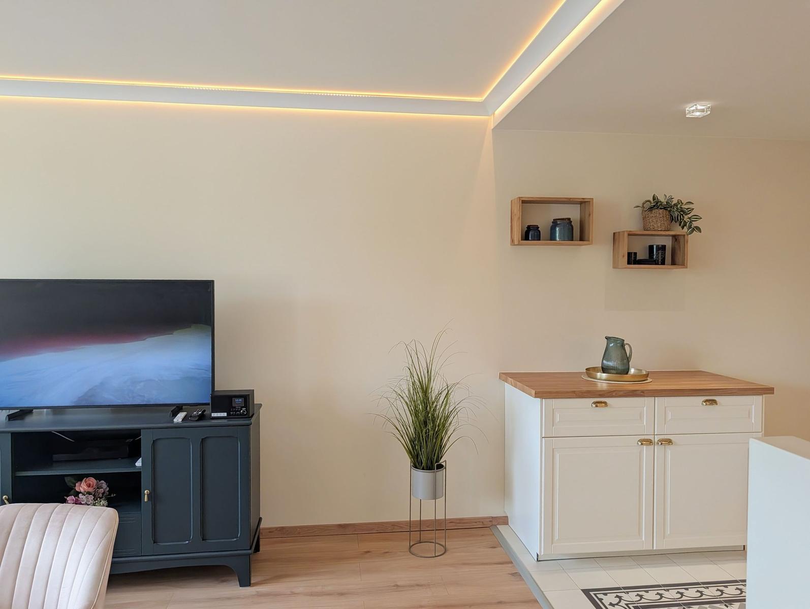 Wohnbereich mit Fernseher, Pflanze und Küchenzeile. Holzboden und Beleuchtung.