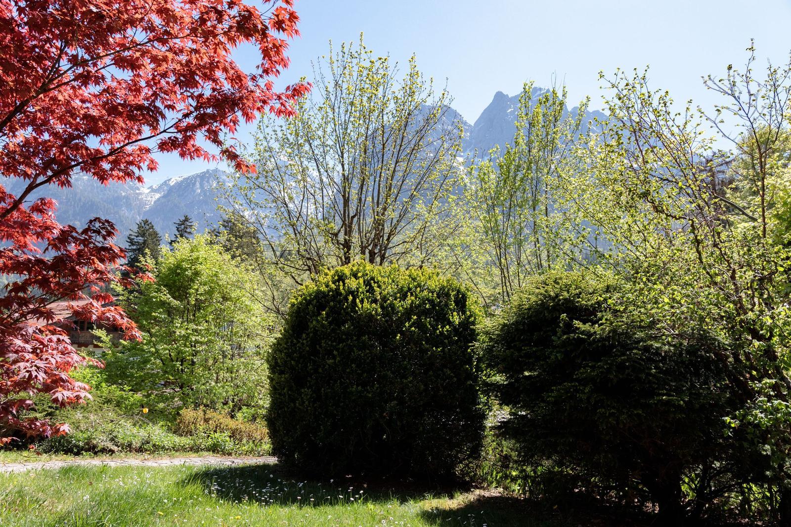 Garden with red leaves and mountains in the background.