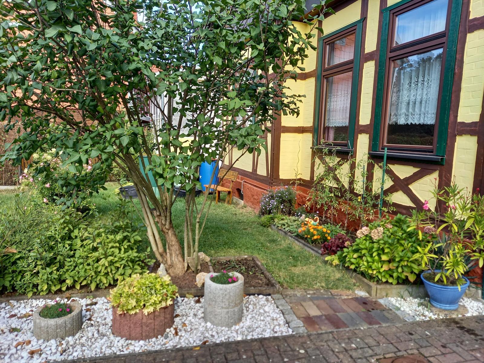 Hinterhof mit Garten, Baum und Blumenbeeten vor gelbem Fachwerkhaus.