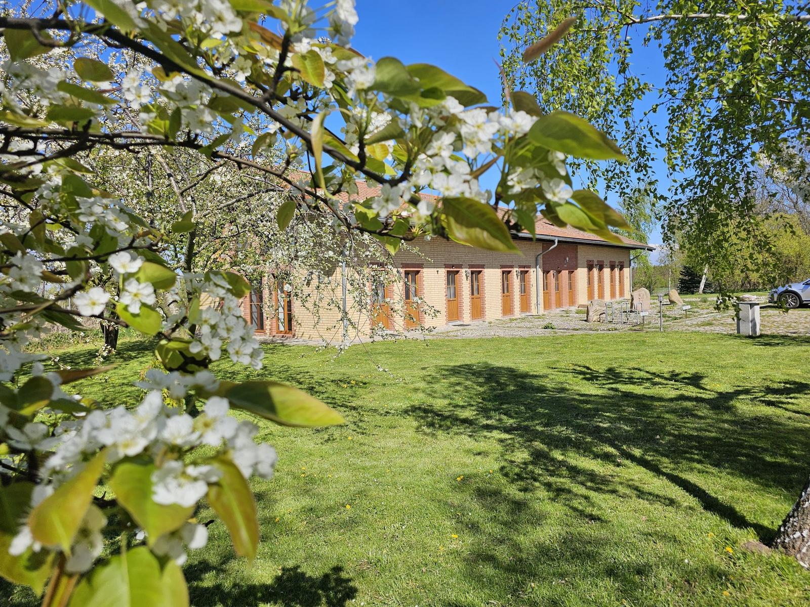 A house with brown doors and a red roof stands in the garden under a blue sky. Blossoming trees are in the foreground.