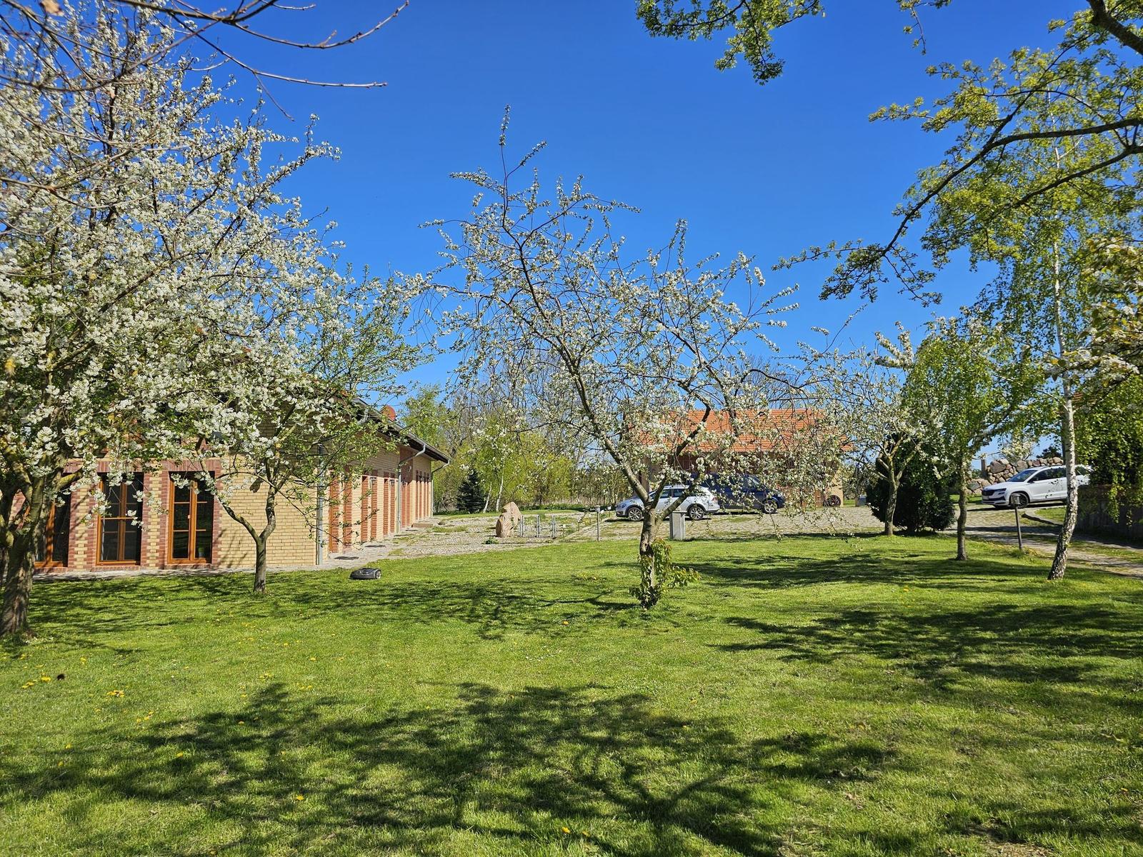 House with green lawn and blooming trees under blue sky.
