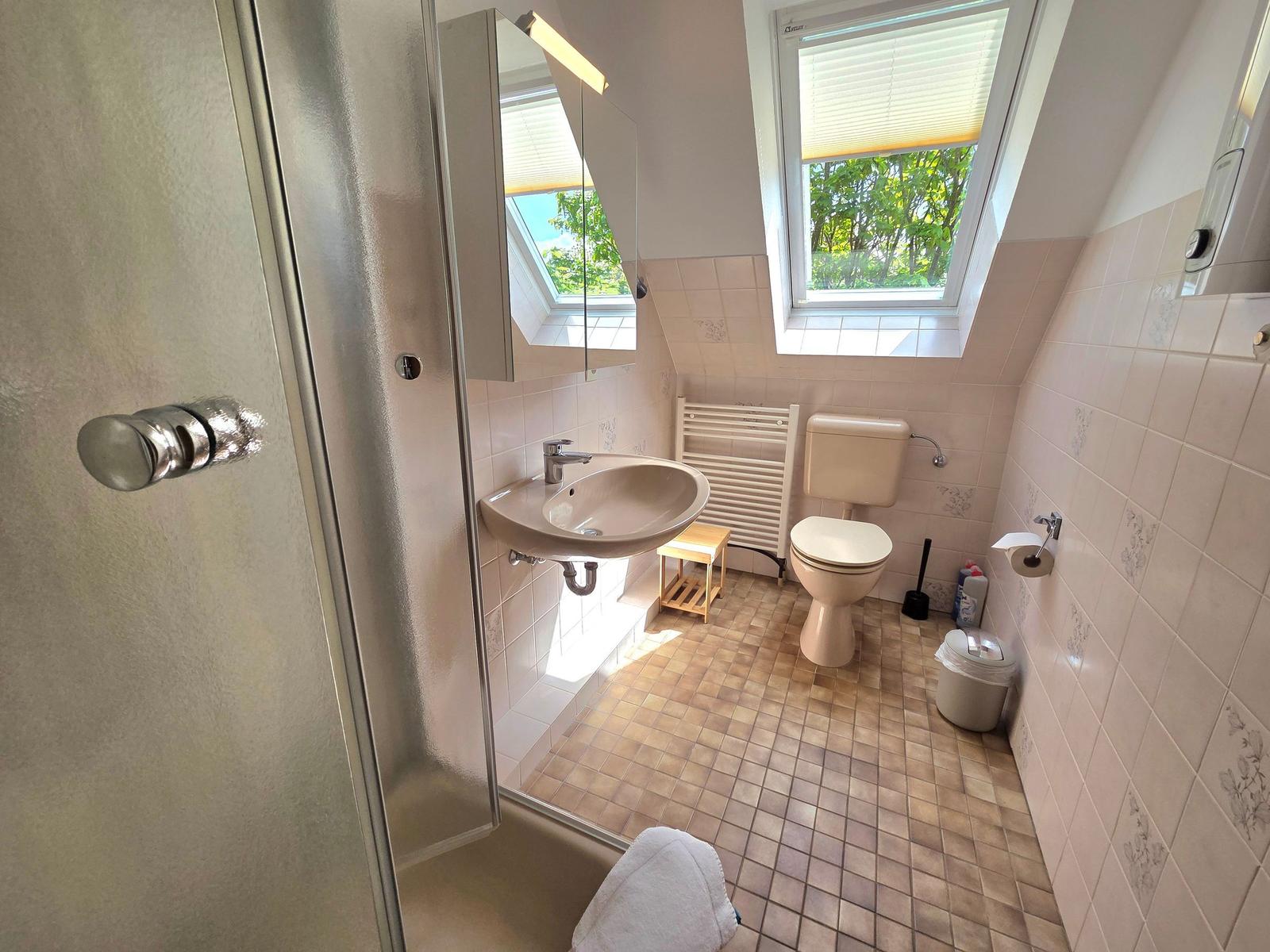Badezimmer mit Dusche, Waschbecken, WC und Dachfenster.