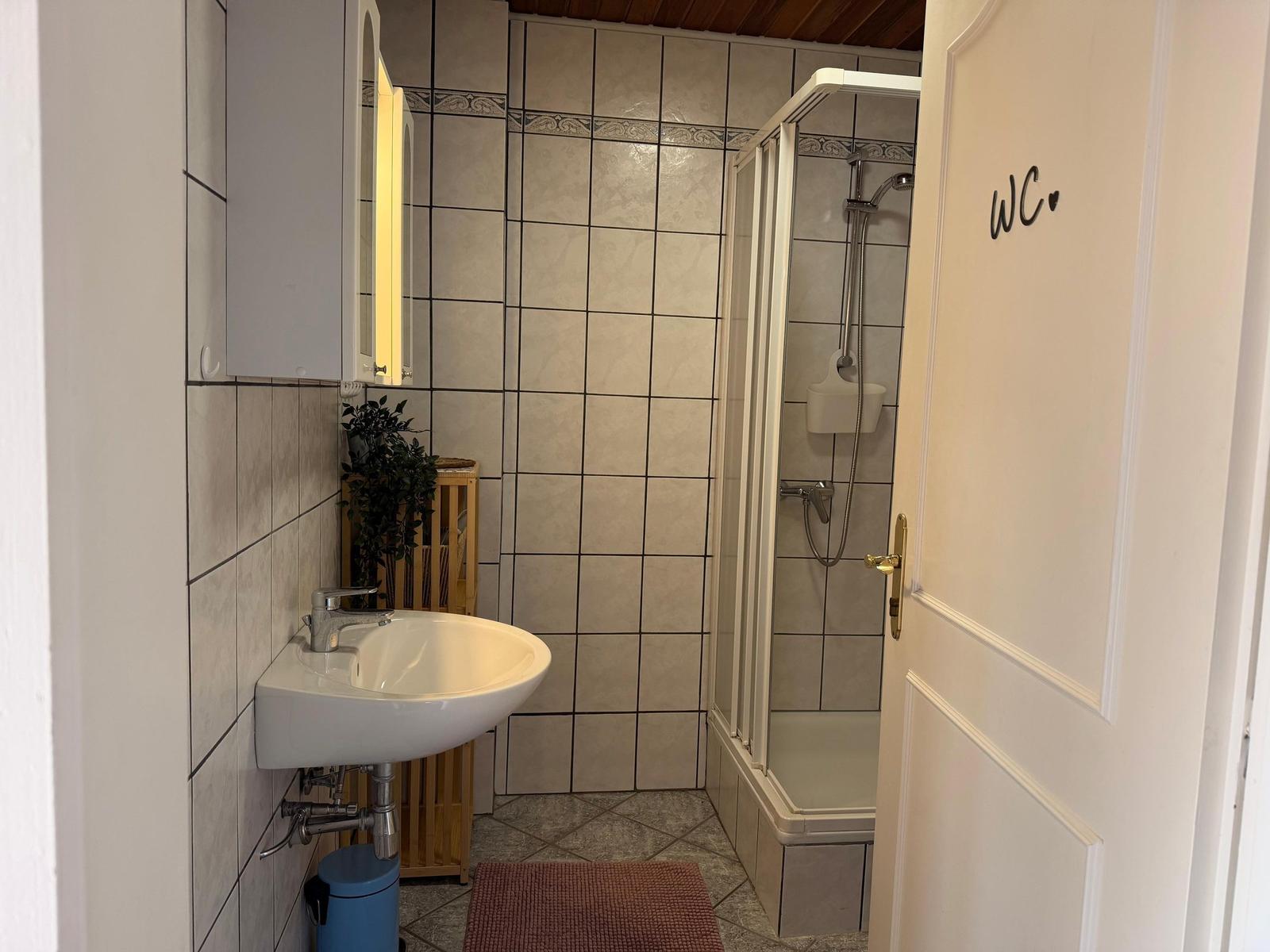 Badezimmer mit Dusche, Waschbecken und Spiegelschrank.