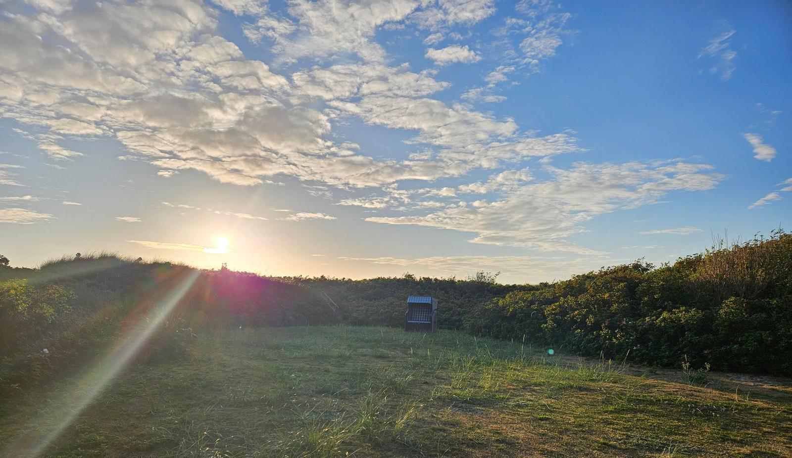 Sonnenuntergang über Grasland mit Hütte und Sträuchern