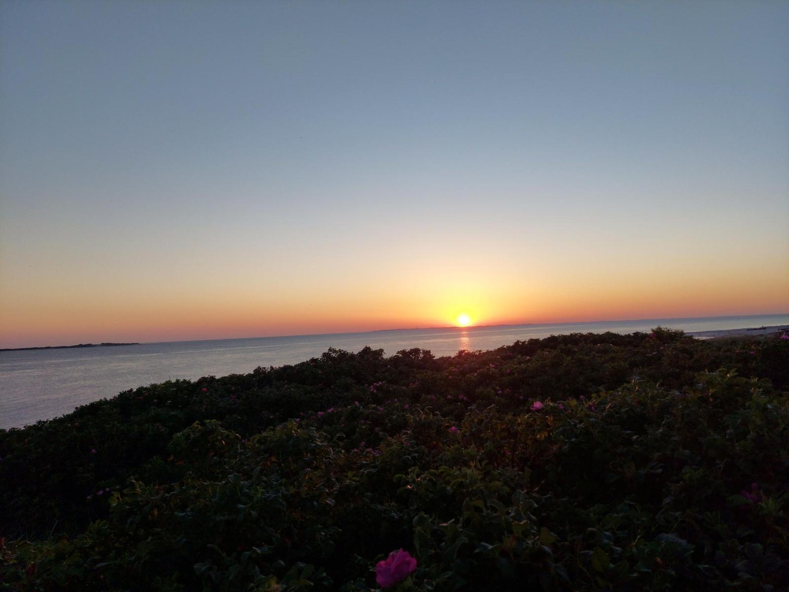 Sonnenuntergang über dem Meer mit rosa Rosen im Vordergrund