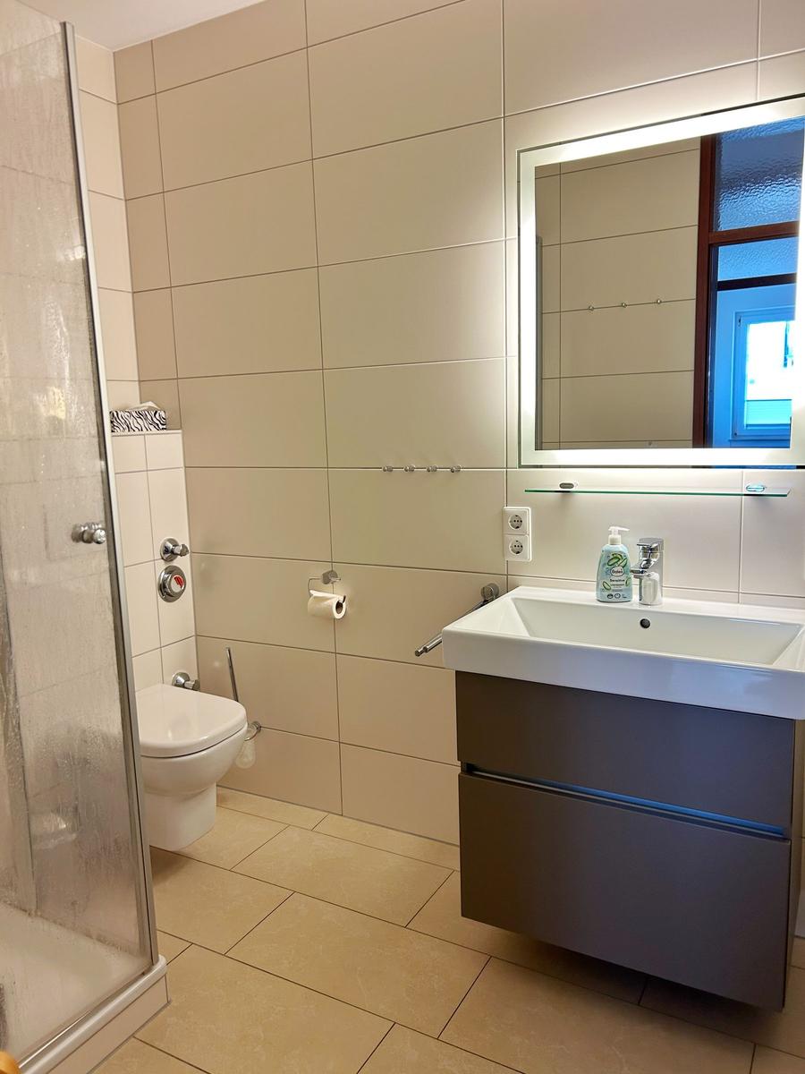 Badezimmer mit Dusche, WC und Waschbecken mit Spiegel.