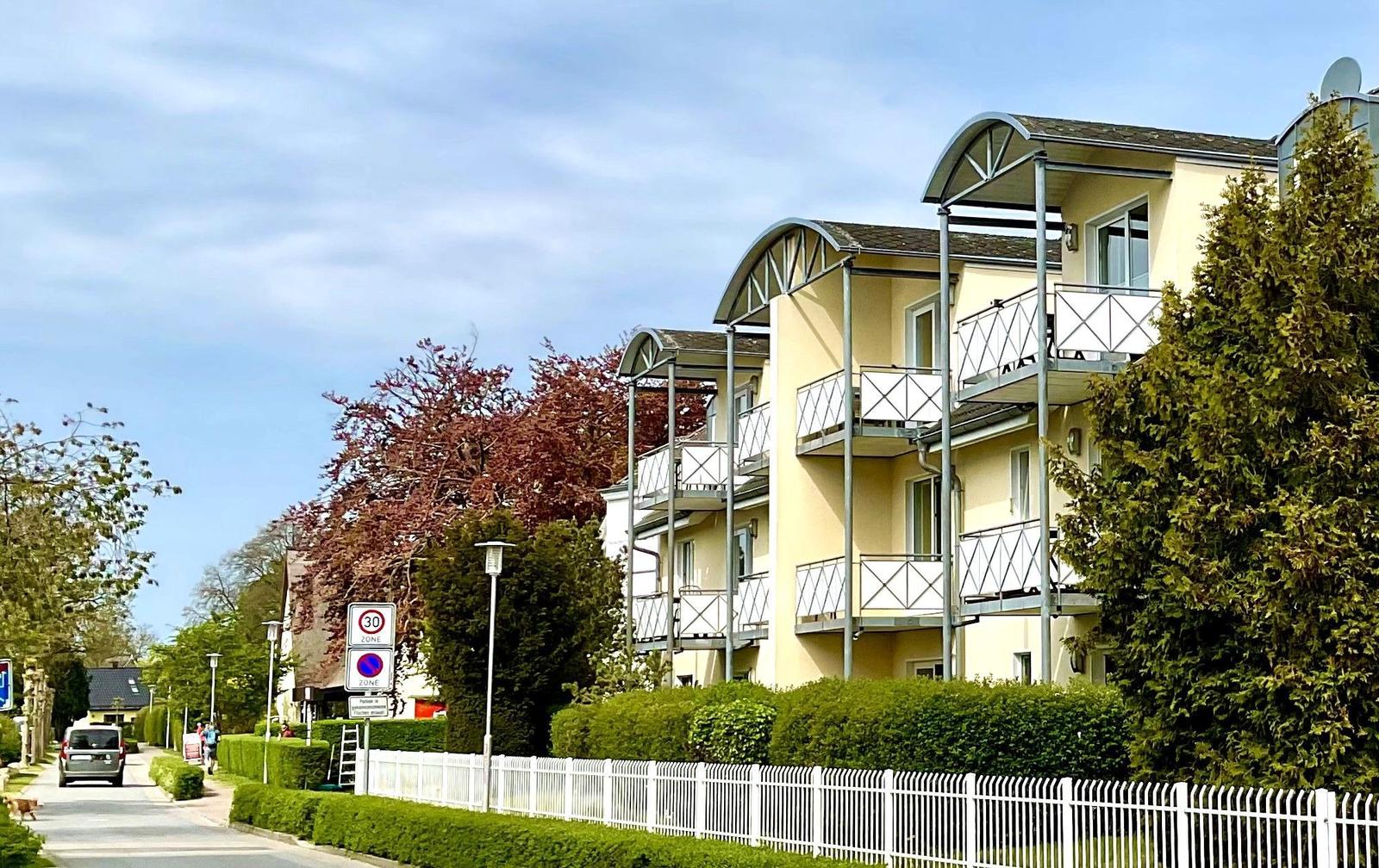 Die Ostseebrise in der Stranddistel