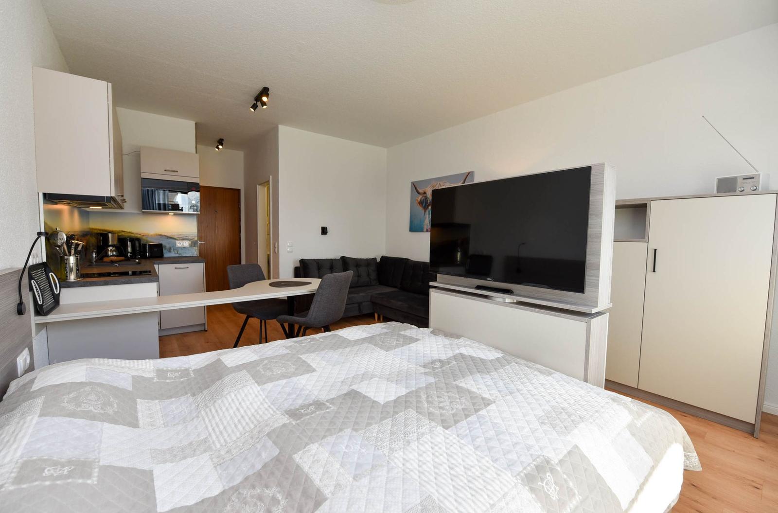 Schlafzimmer mit TV, Sofa und Küchenbereich. Holzboden und modern eingerichtet.
