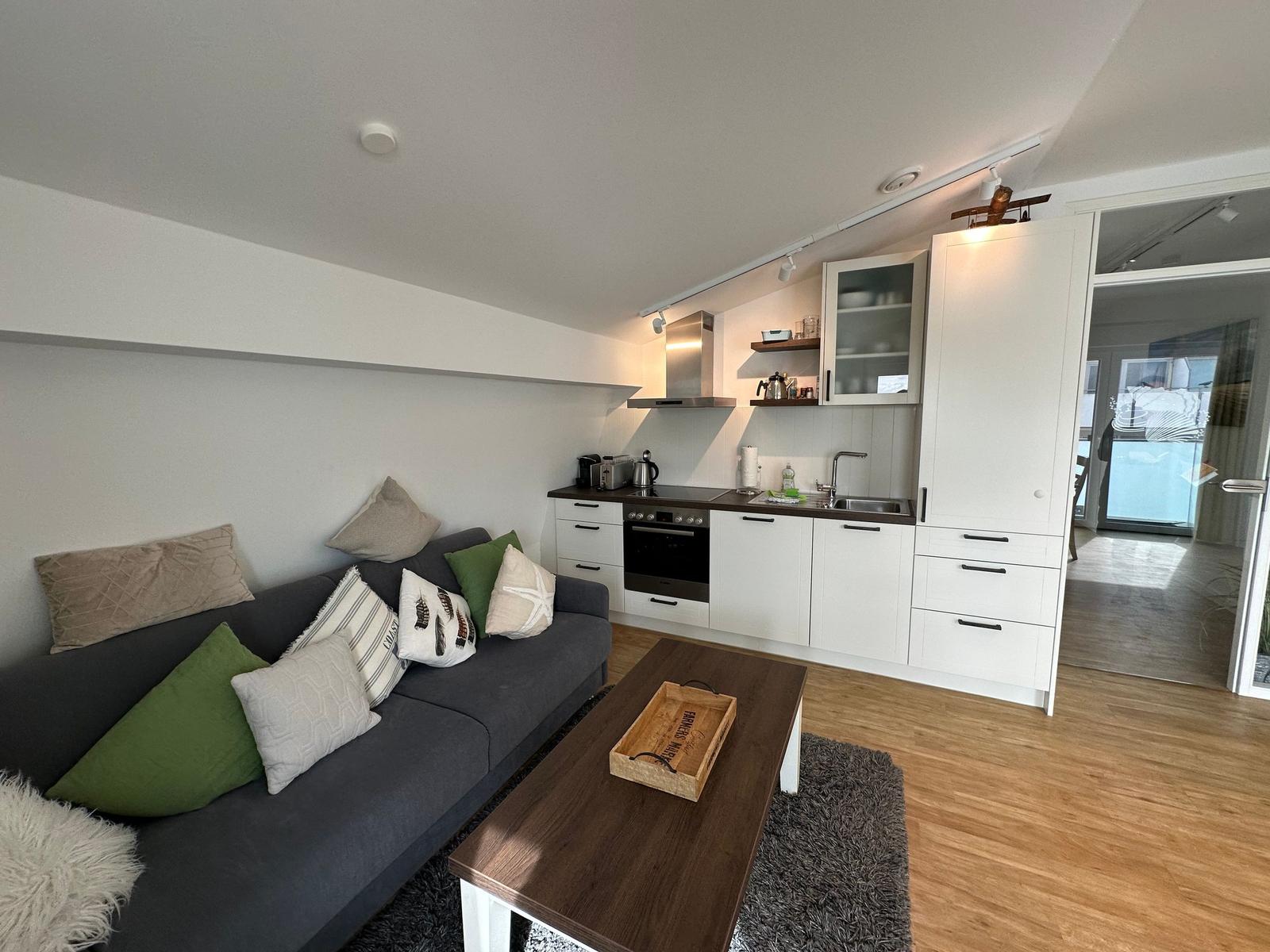Wohnzimmer mit Sofa, Couchtisch und integrierter Küche.