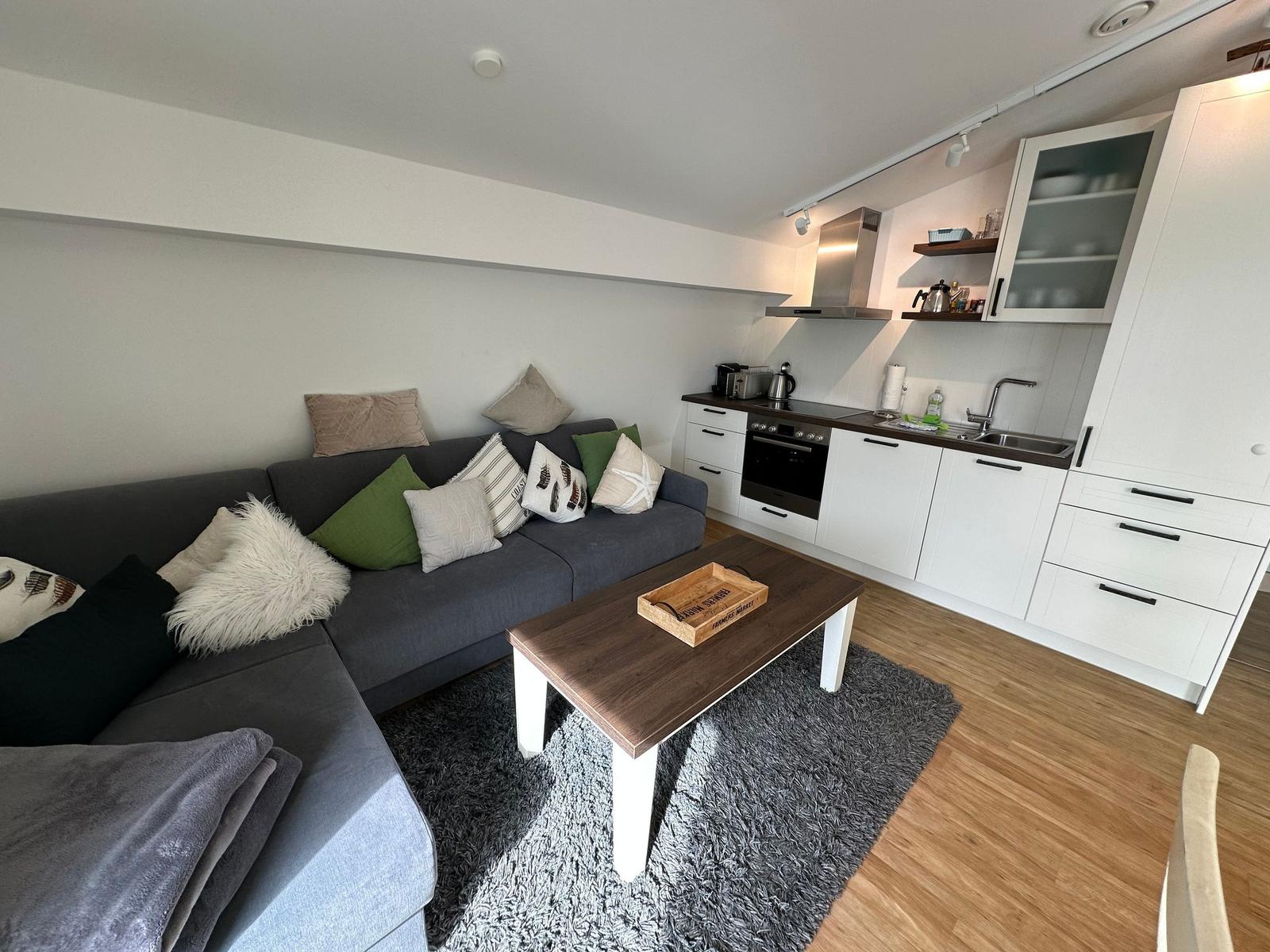 Wohnbereich mit Sofa, Couchtisch und integrierter Küche.