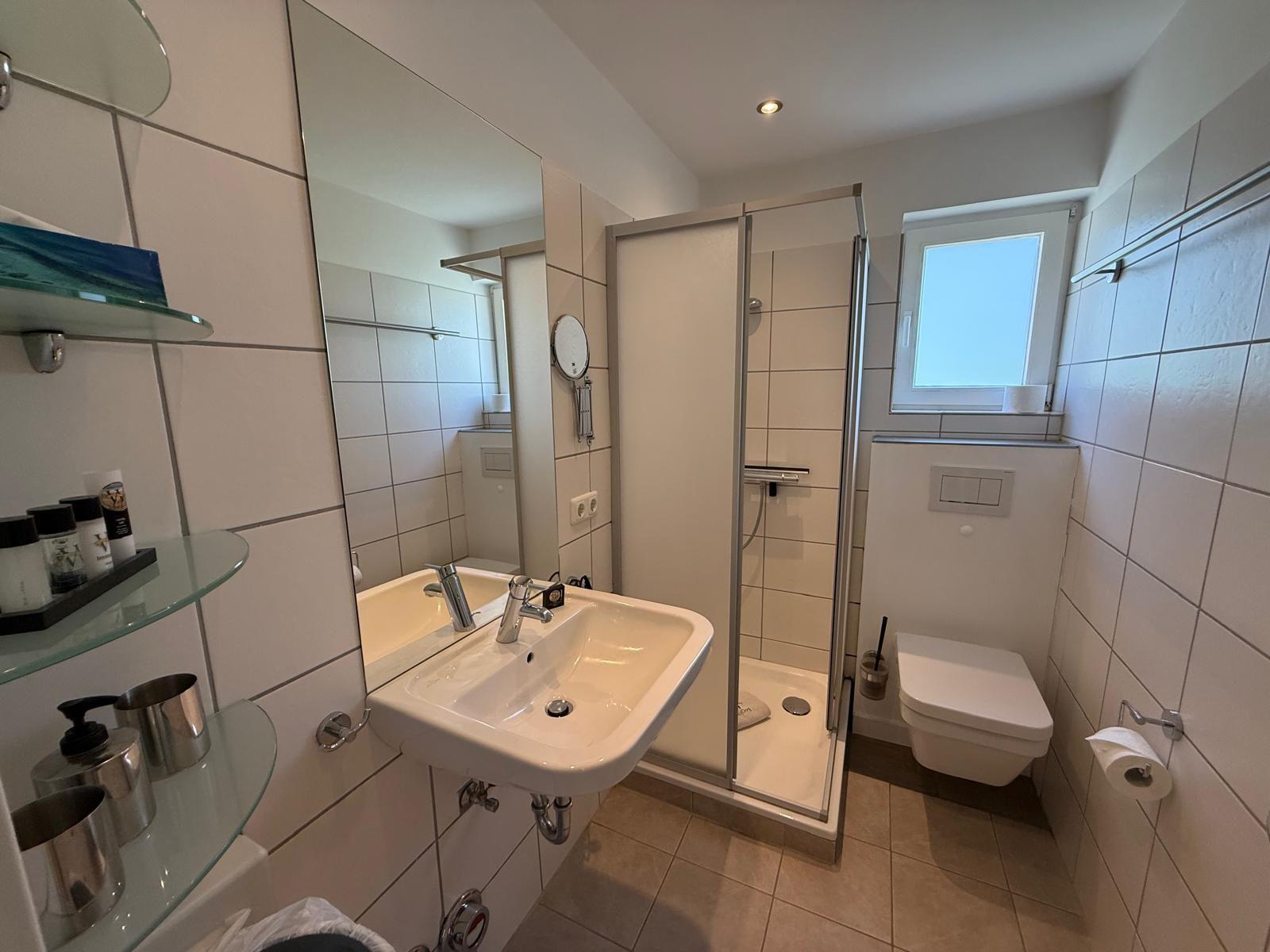 Badezimmer mit Dusche, WC und Waschbecken. Fenster und Spiegel sichtbar.