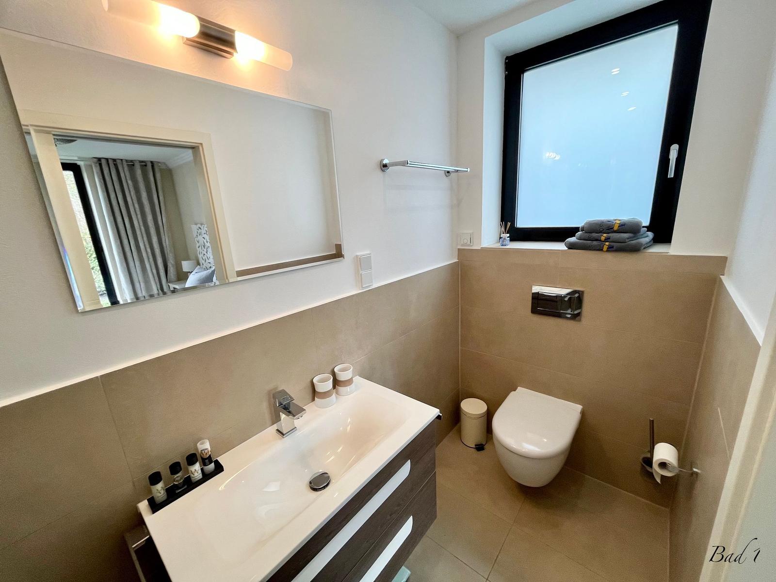 Badezimmer mit Waschbecken, Spiegel, Toilette und Fenster