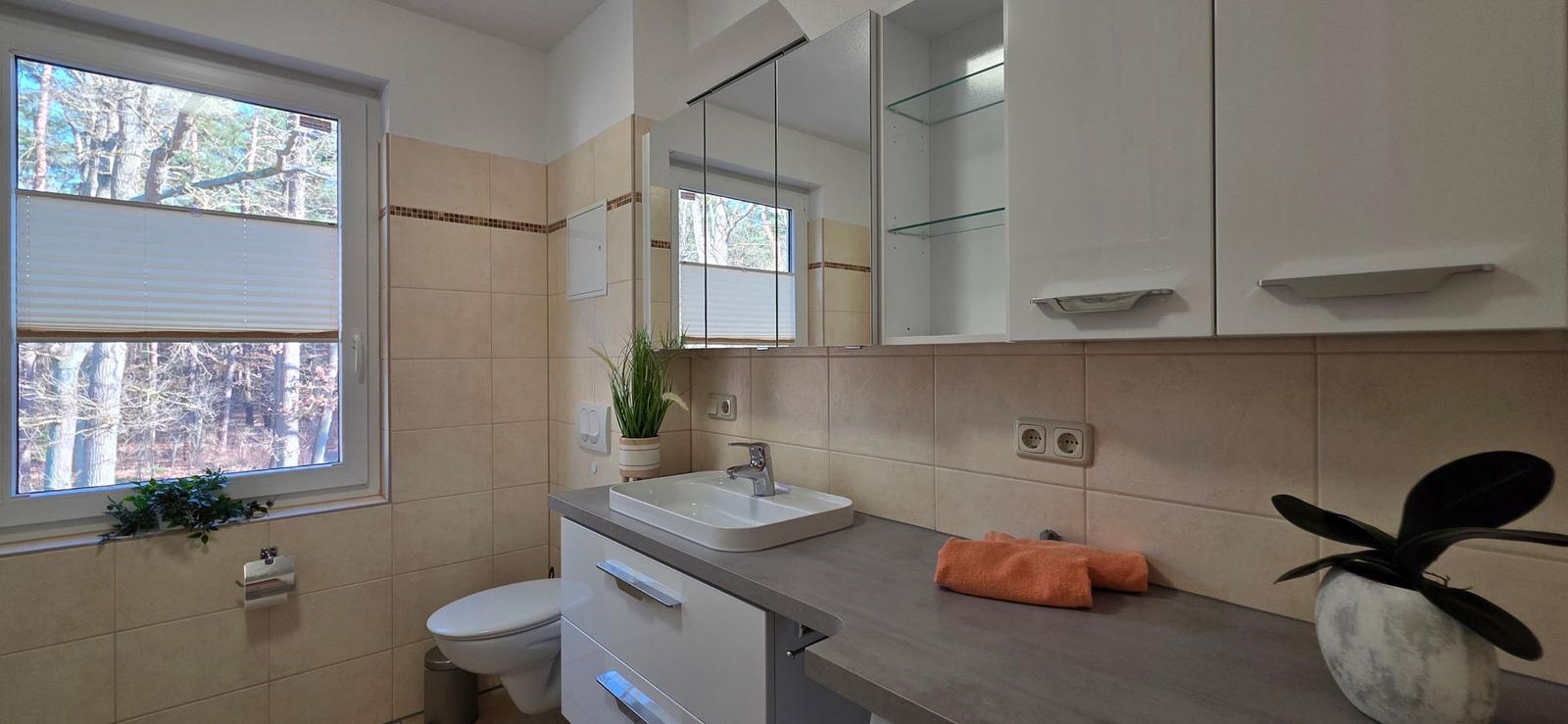 Badezimmer mit Waschbecken, Toilette und Fenster zur Waldansicht.