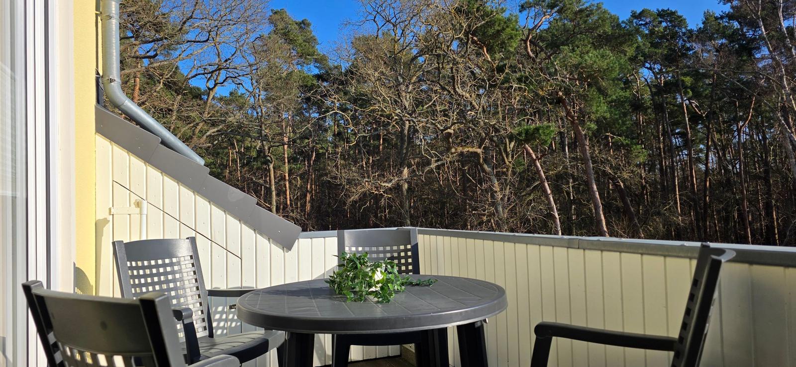 Terrasse mit Tisch und Stühlen, Blick in einen Wald.