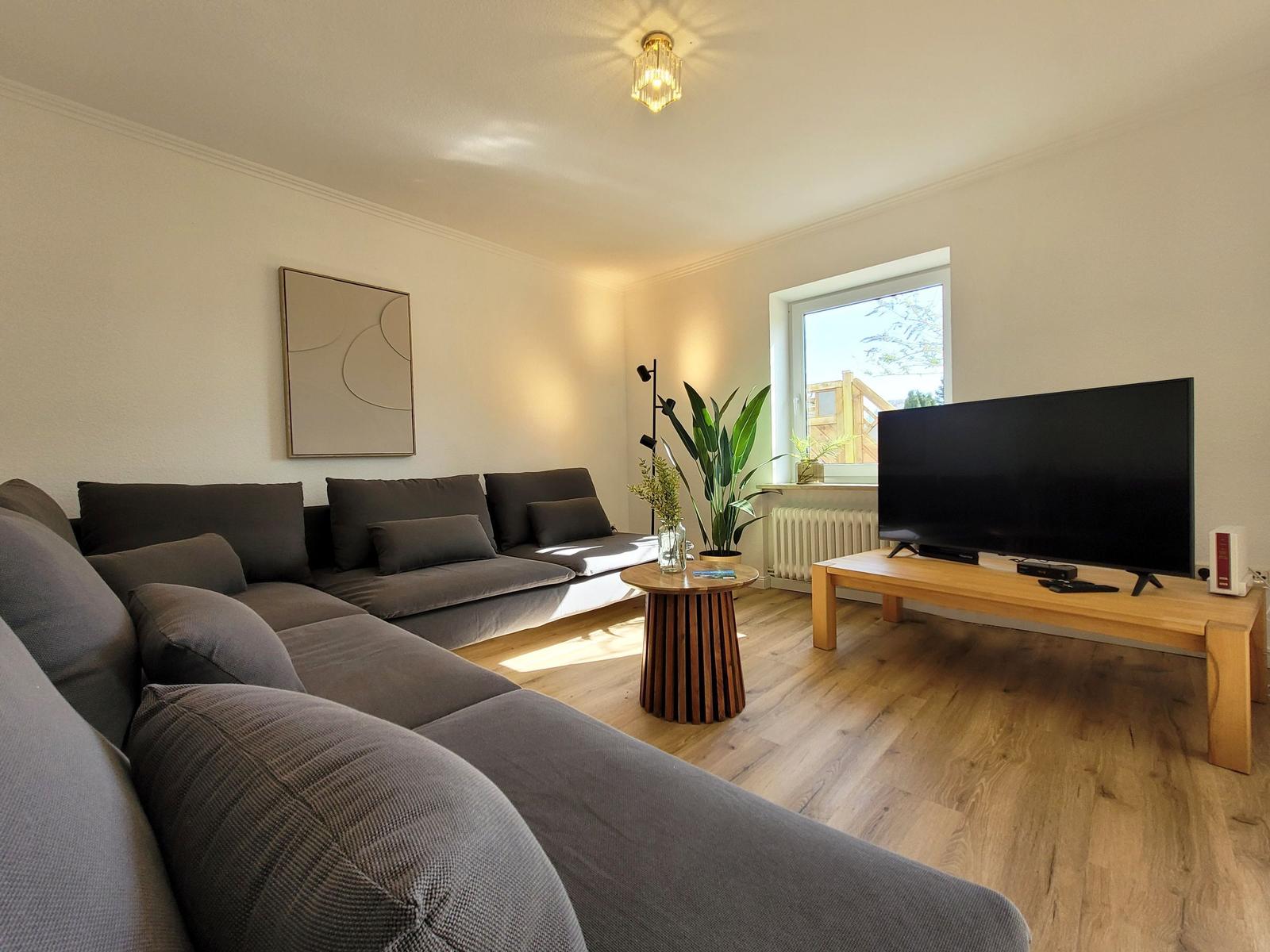 Smart TV und schnelles Internet