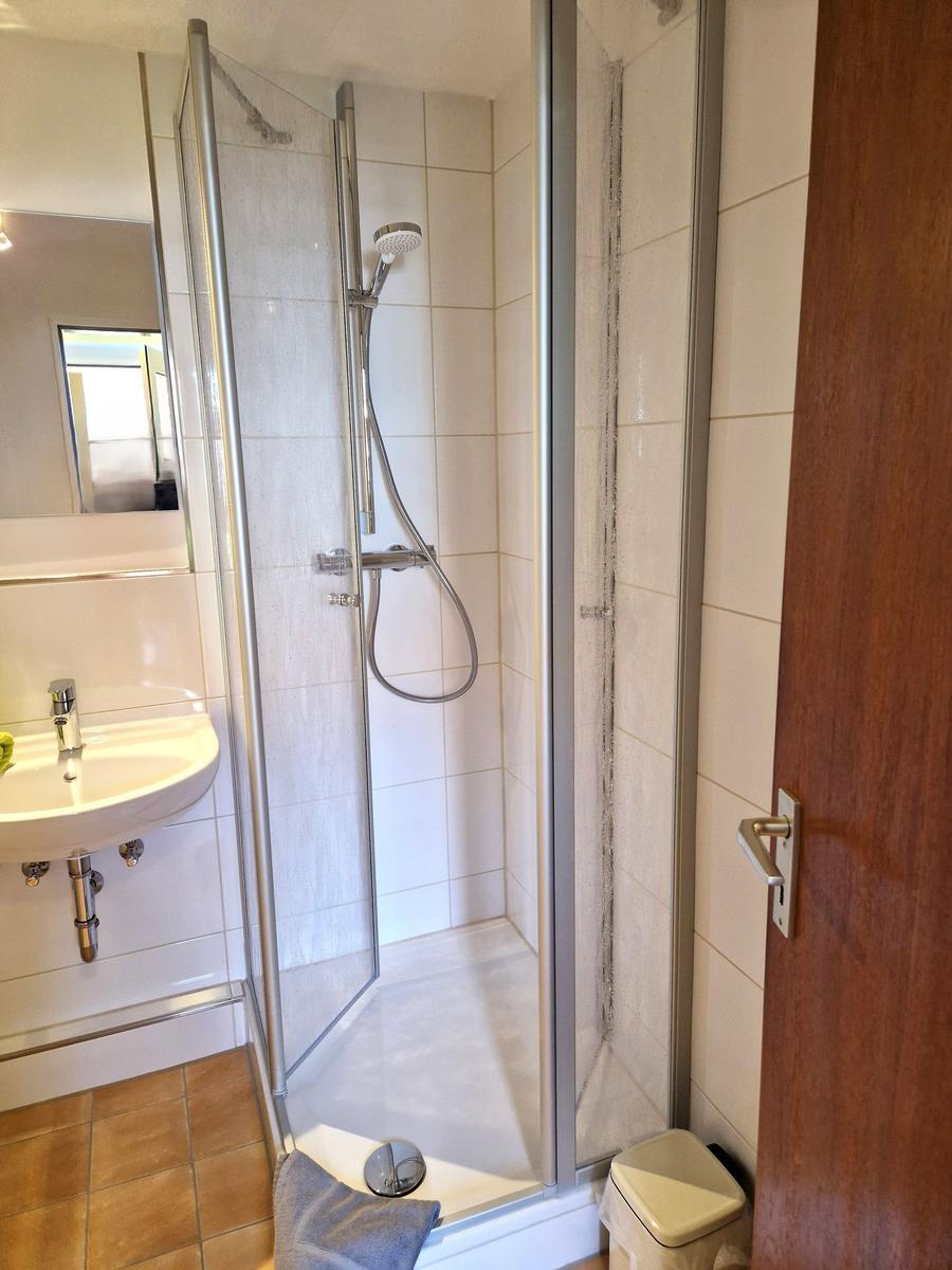 Dusche mit Duschbrause, Waschbecken und Toilette im Badezimmer