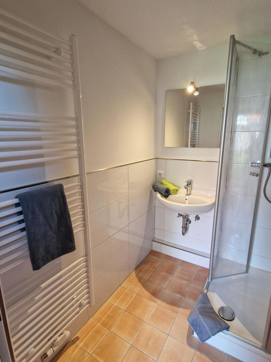 Badezimmer mit Dusche, Waschbecken und Heizkörper. Bodenfliesen und Spiegelschrank.