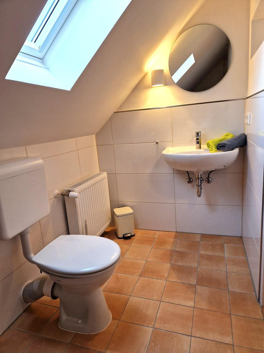 Bathroom with toilet, sink, and skylight. Wall and floor tiles.