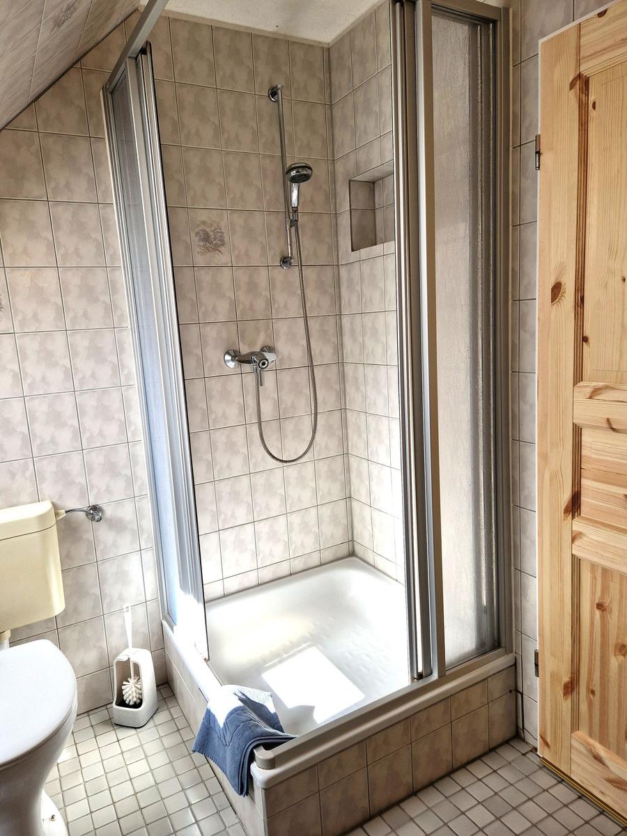 Badezimmer mit Dusche, Toilette und Holztür.